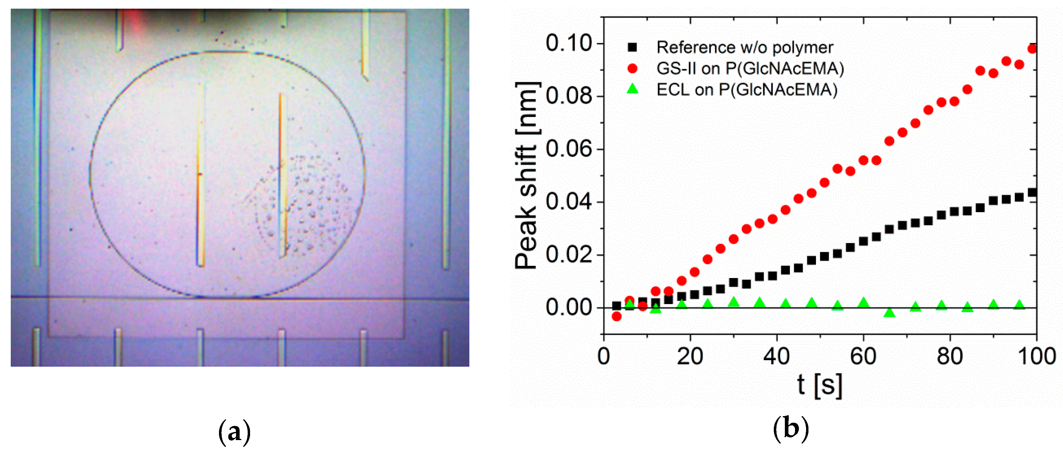 Biosensors 09 00024 g003