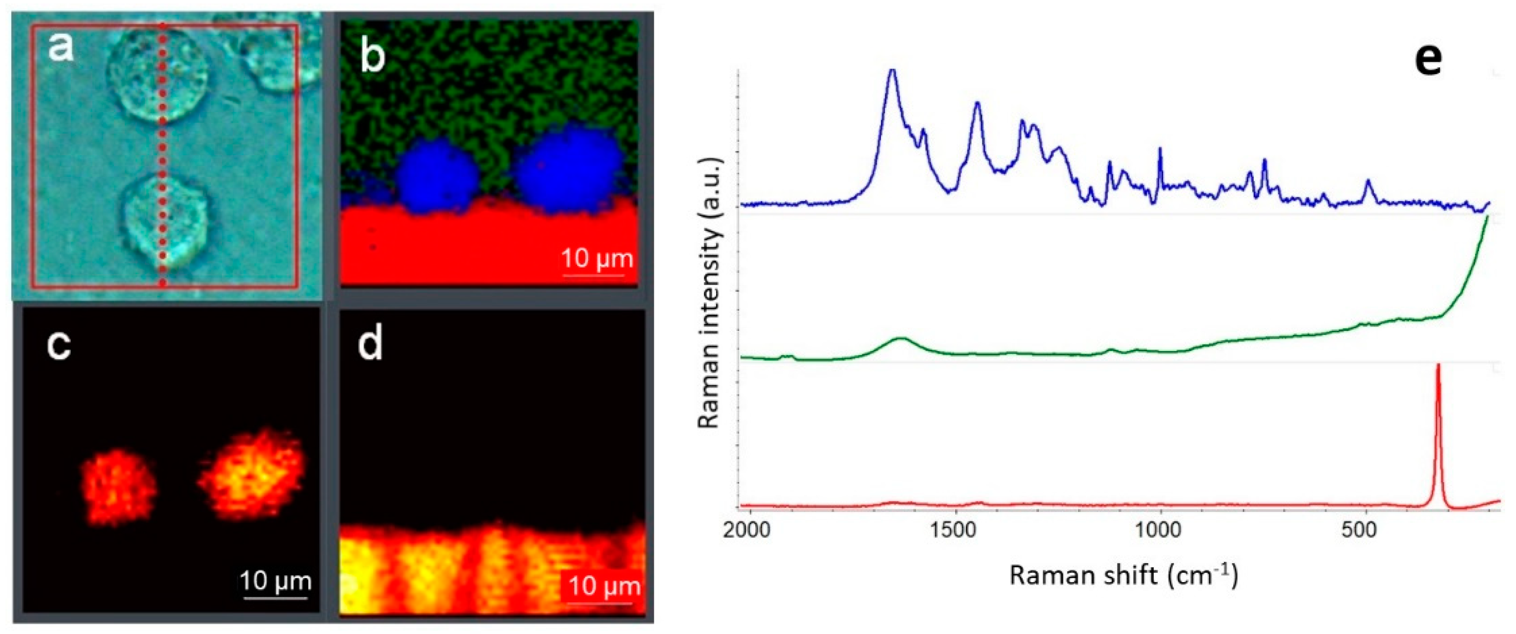 Biosensors 09 00025 g004 550