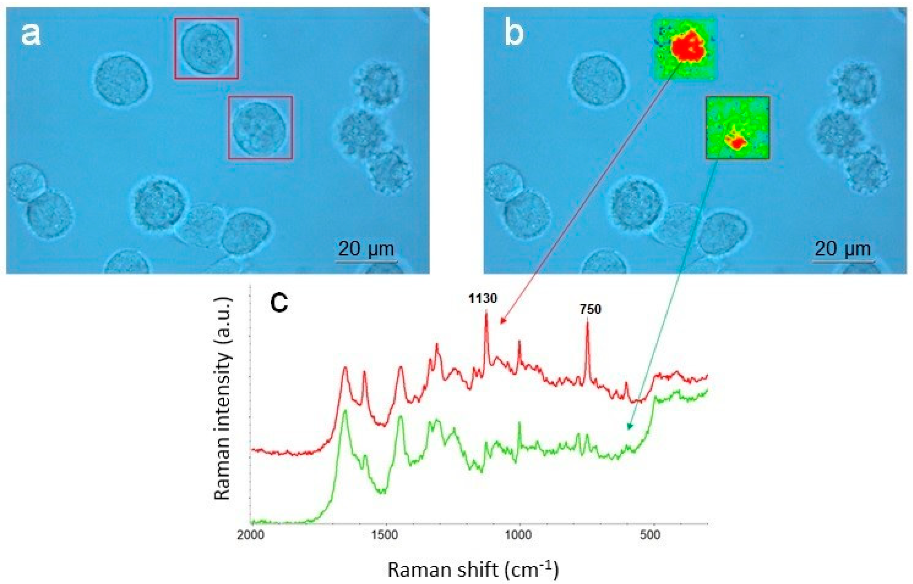 Biosensors 09 00025 g005 550