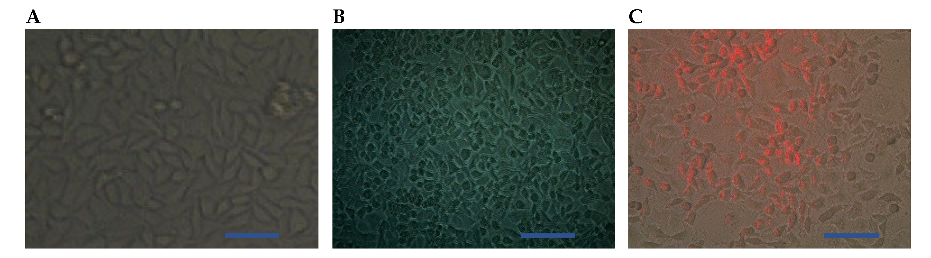 Biosensors 09 00028 g005