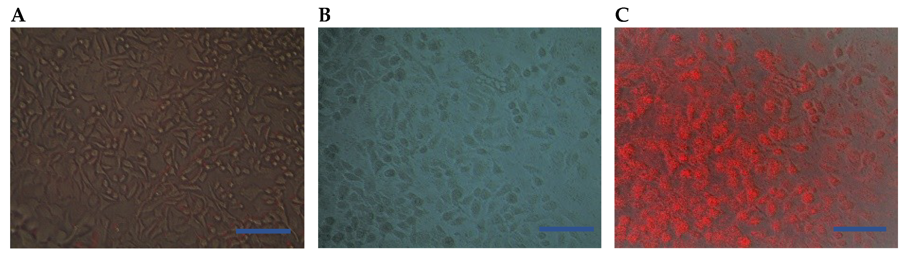 Biosensors 09 00028 g006