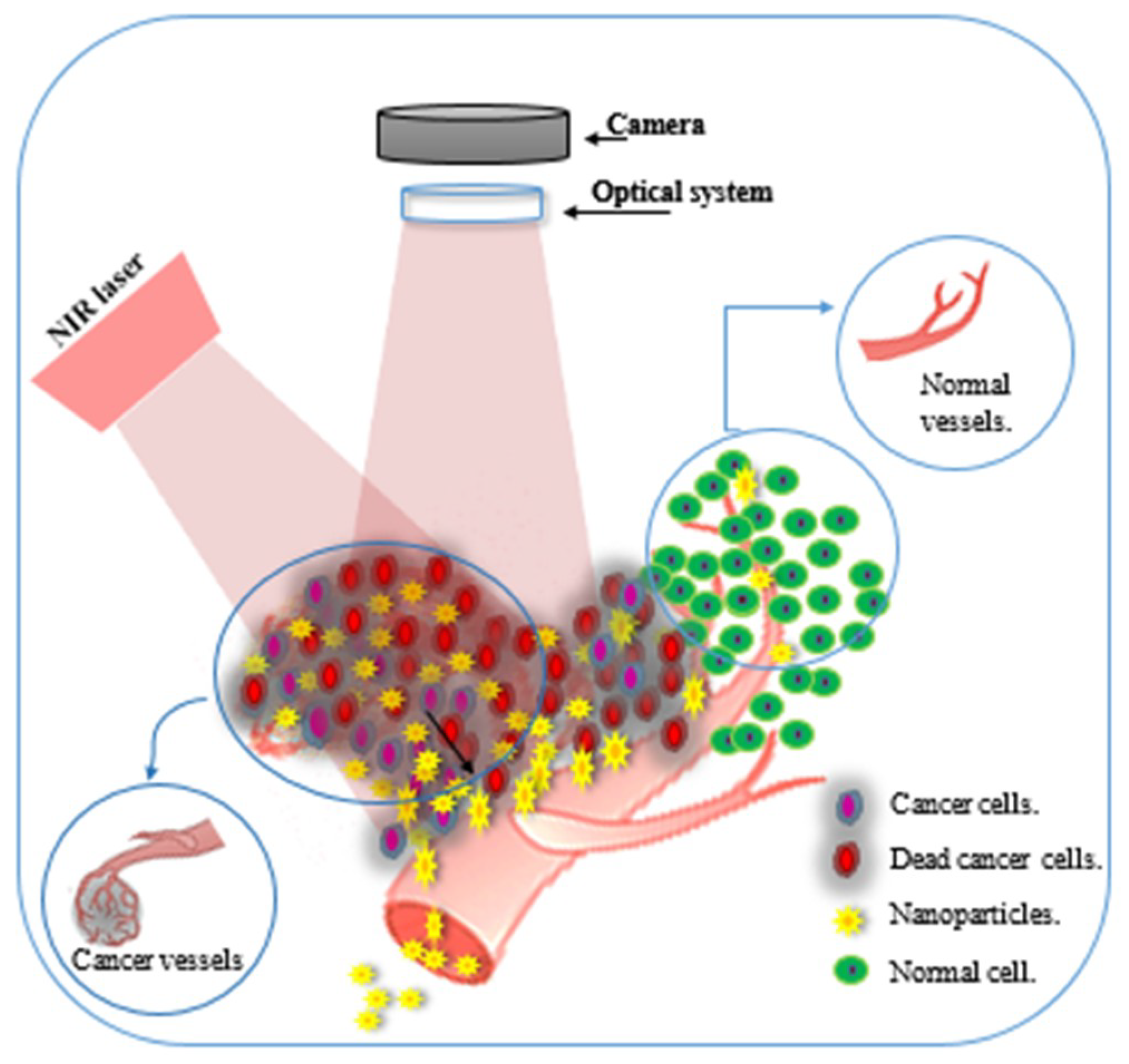 Biosensors 09 00028 sch001