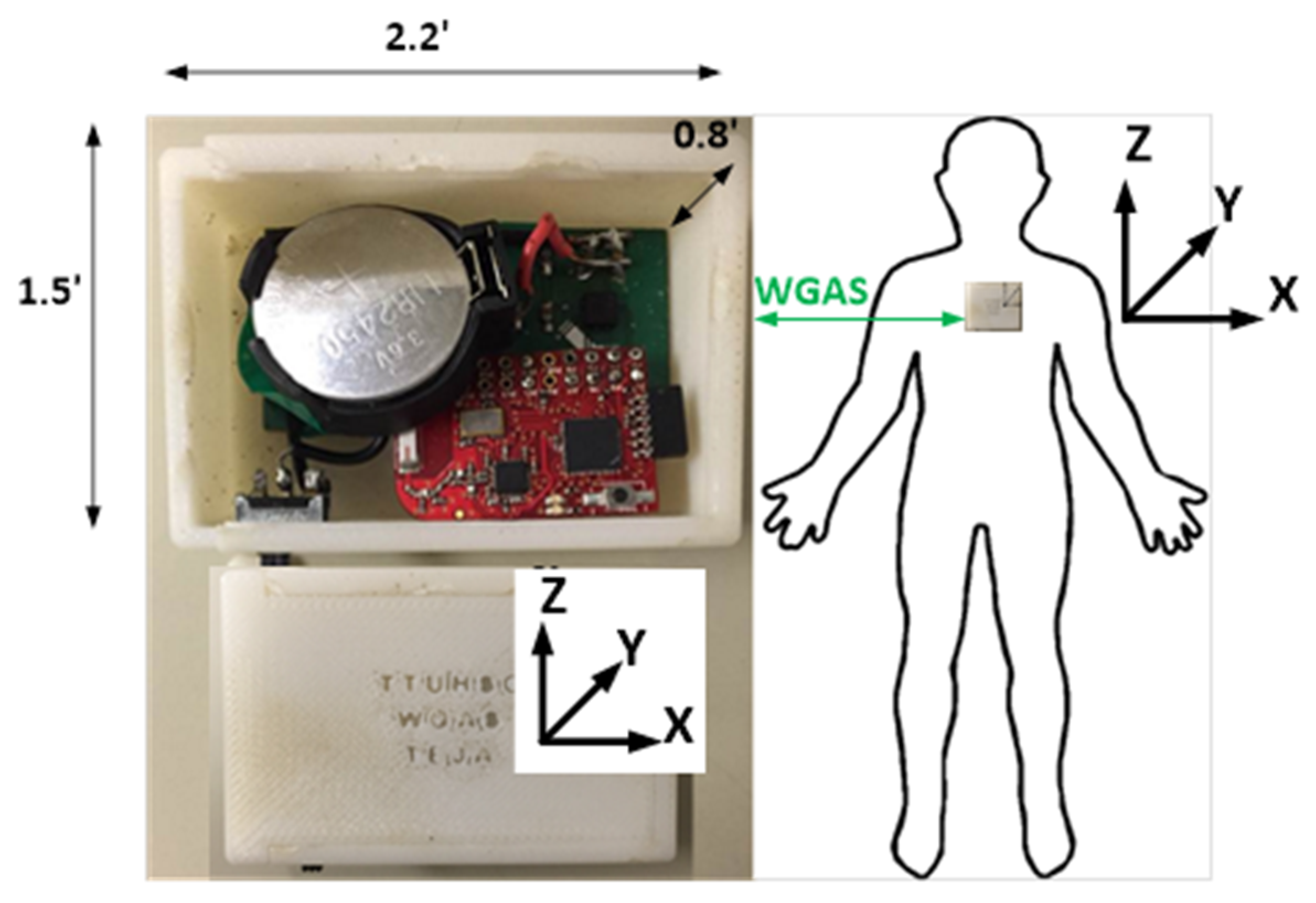 Biosensors 09 00029 g001 Biosensors 09 00029 g001
