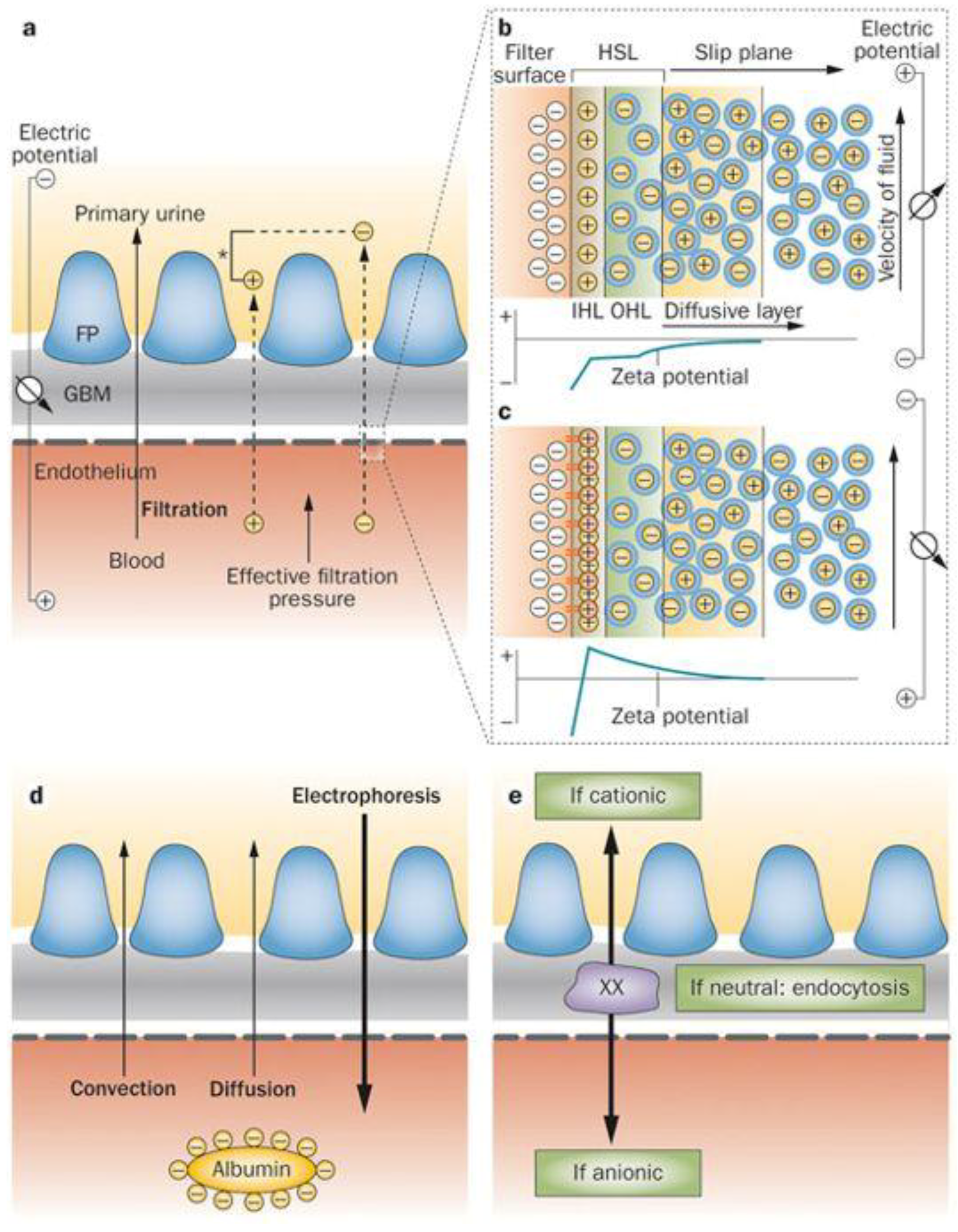 Biosensors 09 00030 g001