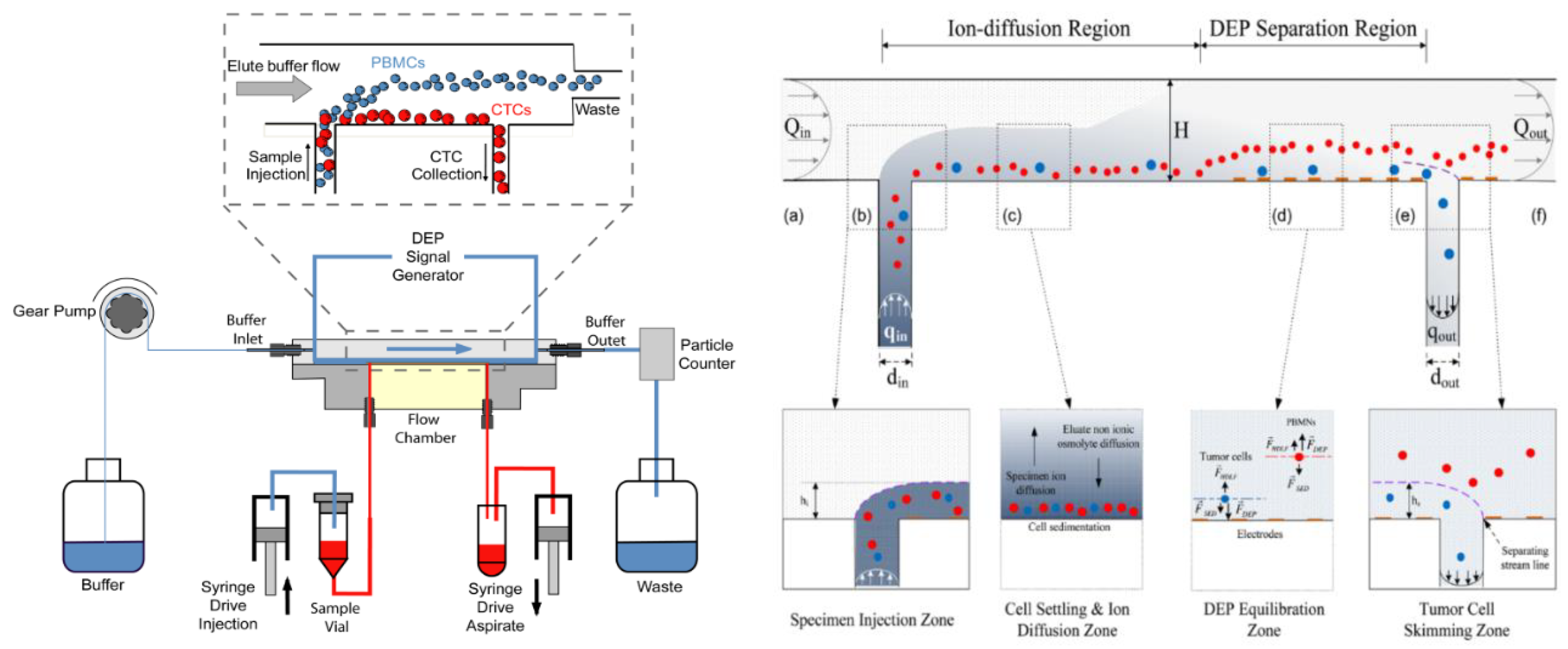 Biosensors 09 00030 g003