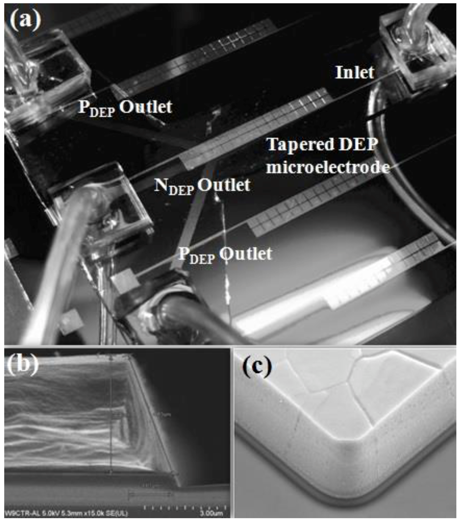 Biosensors 09 00030 g007