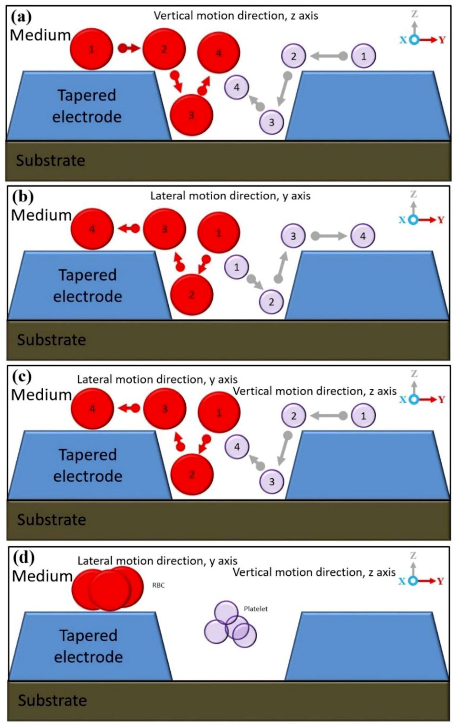 Biosensors 09 00030 g013