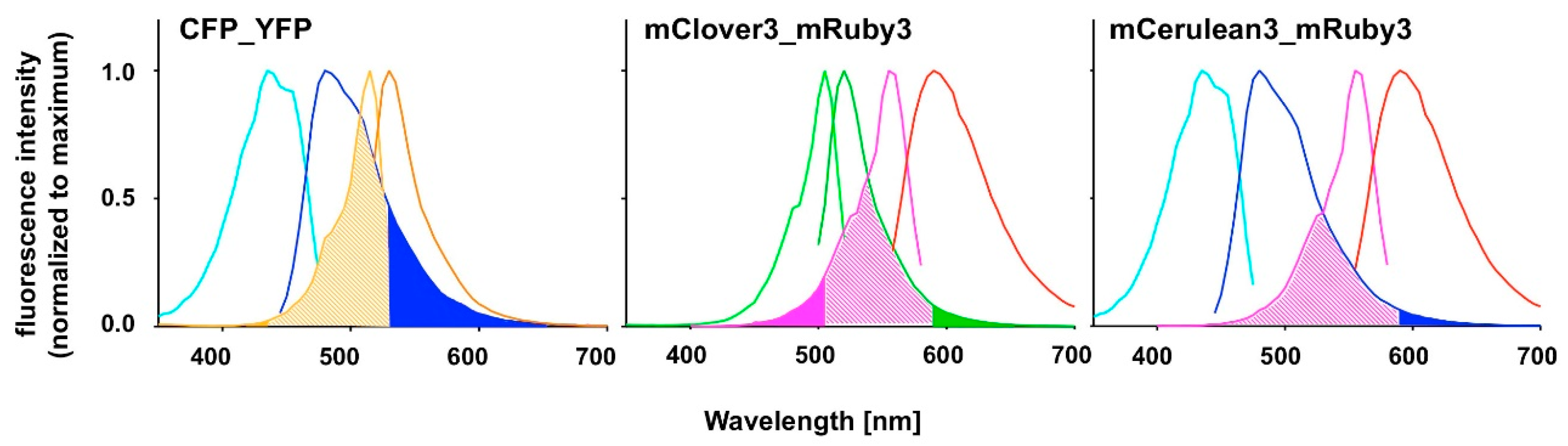 Biosensors 09 00033 g001