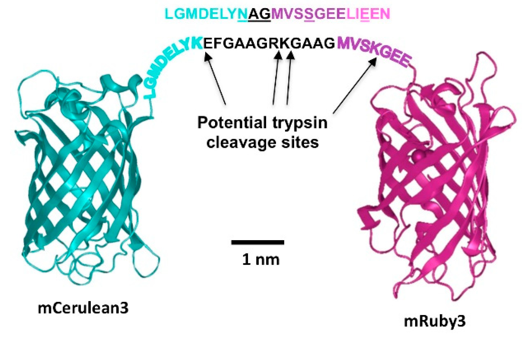 Biosensors 09 00033 g002