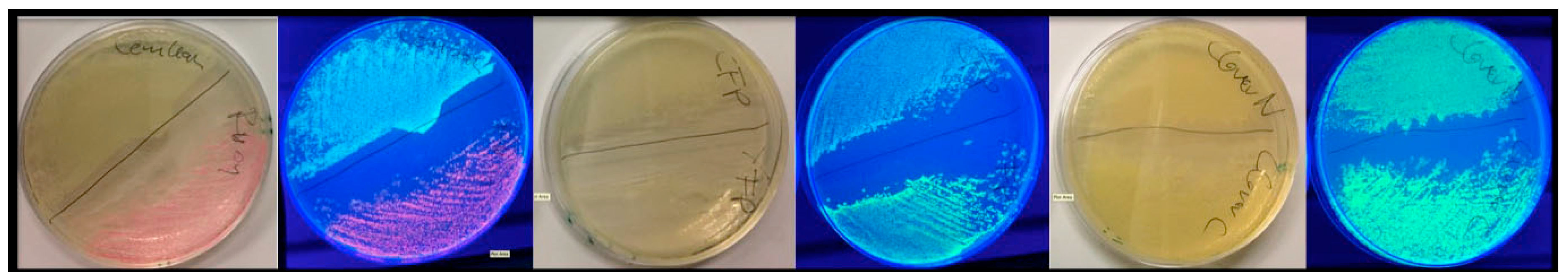 Biosensors 09 00033 g0a1