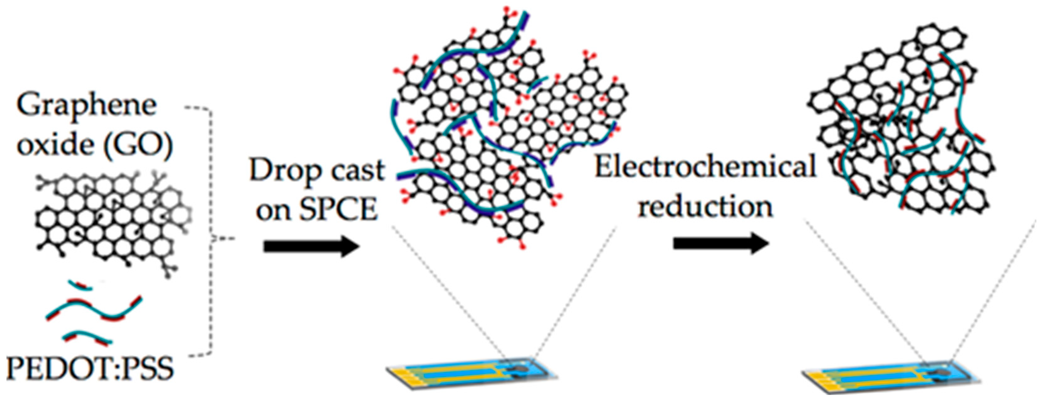 Biosensors 09 00036 g001