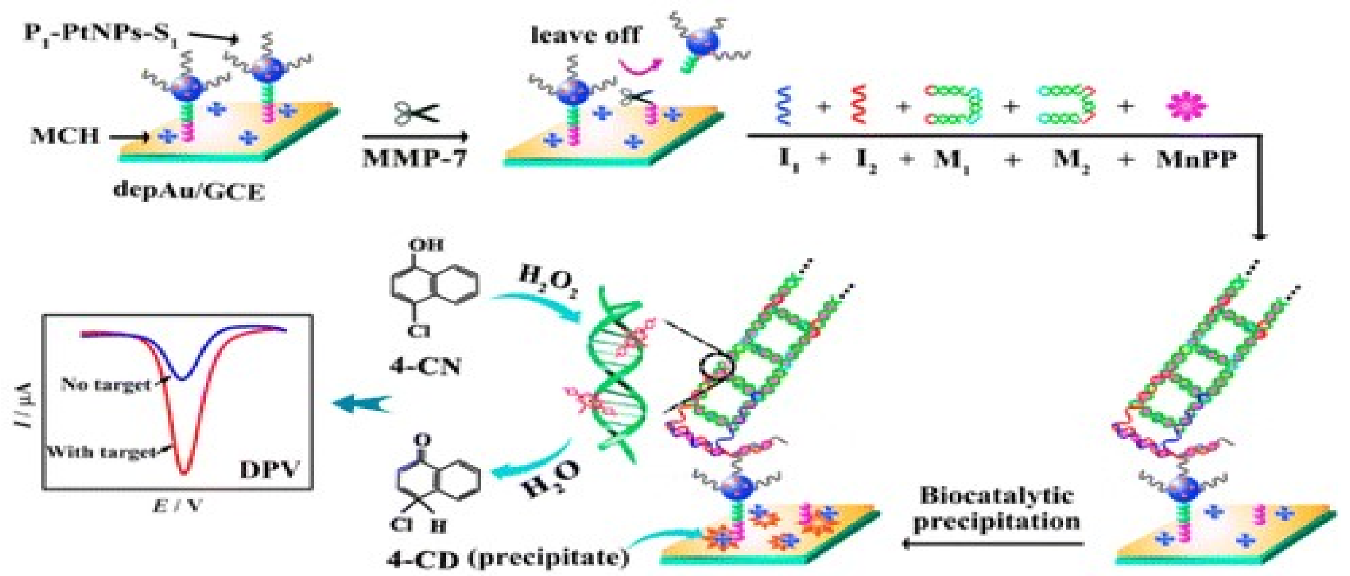 Biosensors 09 00038 g003