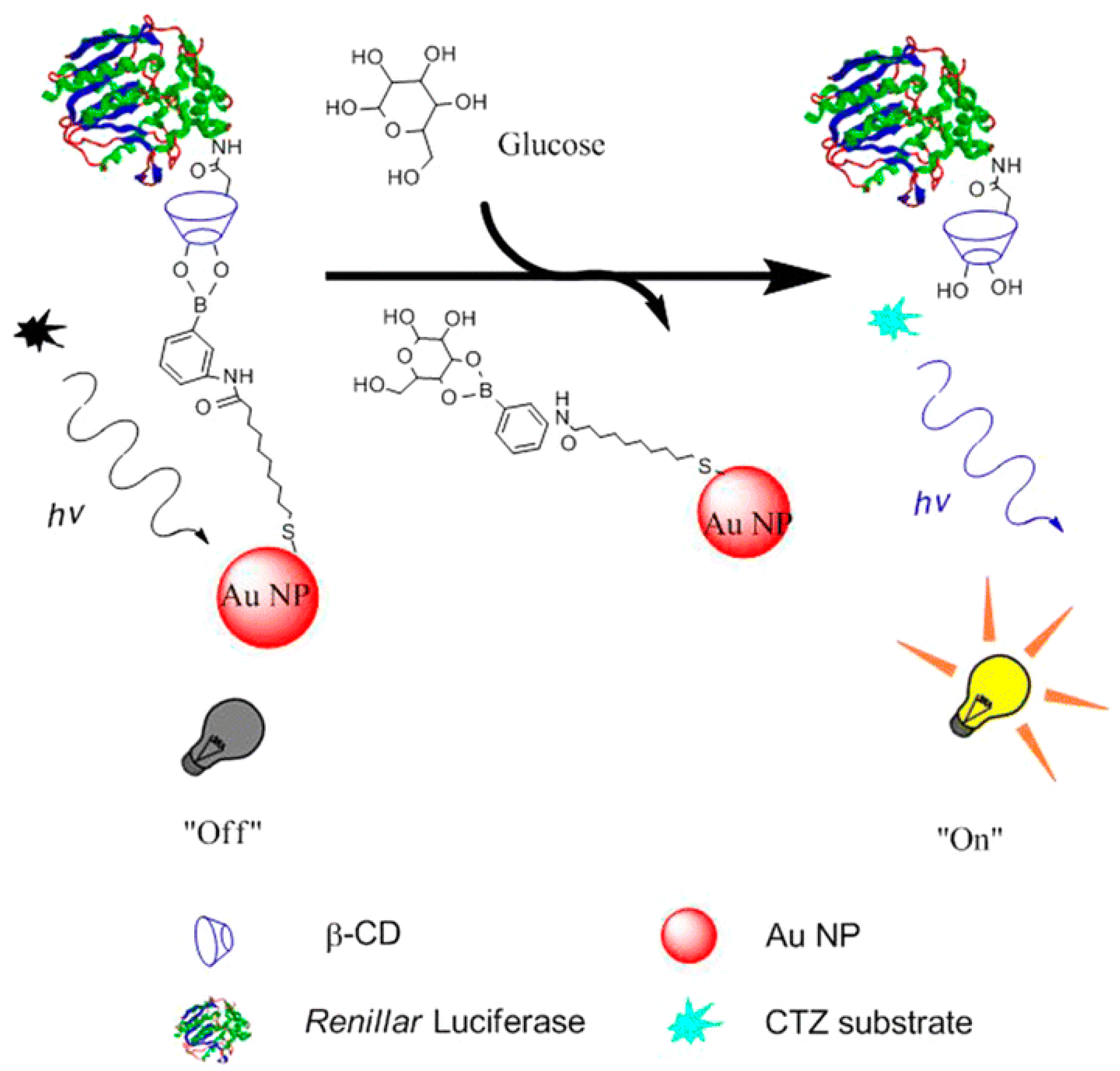 Biosensors 09 00042 g002