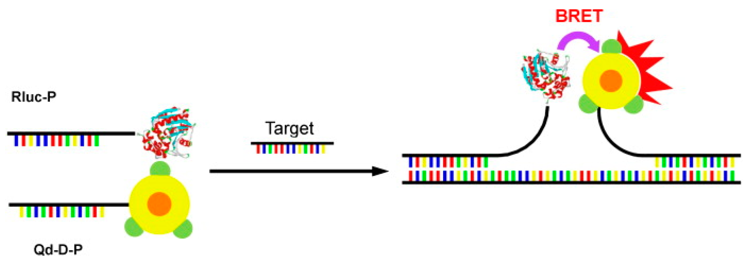 Biosensors 09 00042 g003