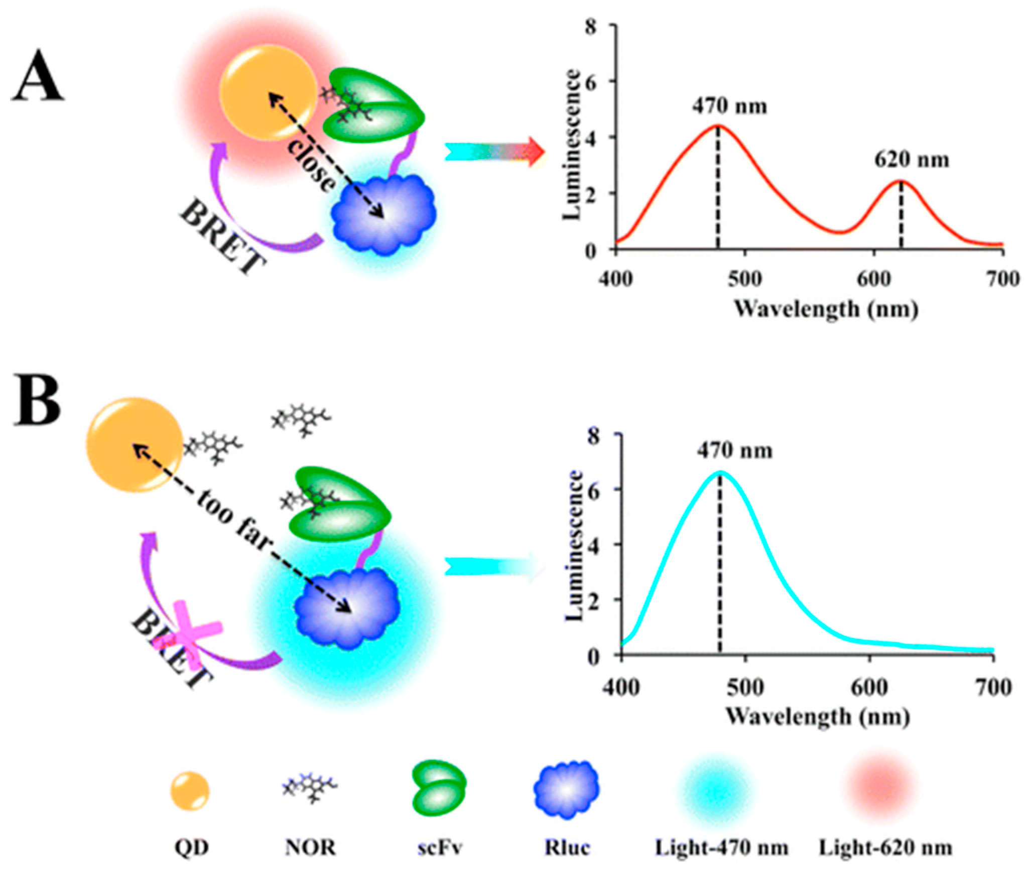 Biosensors 09 00042 g005