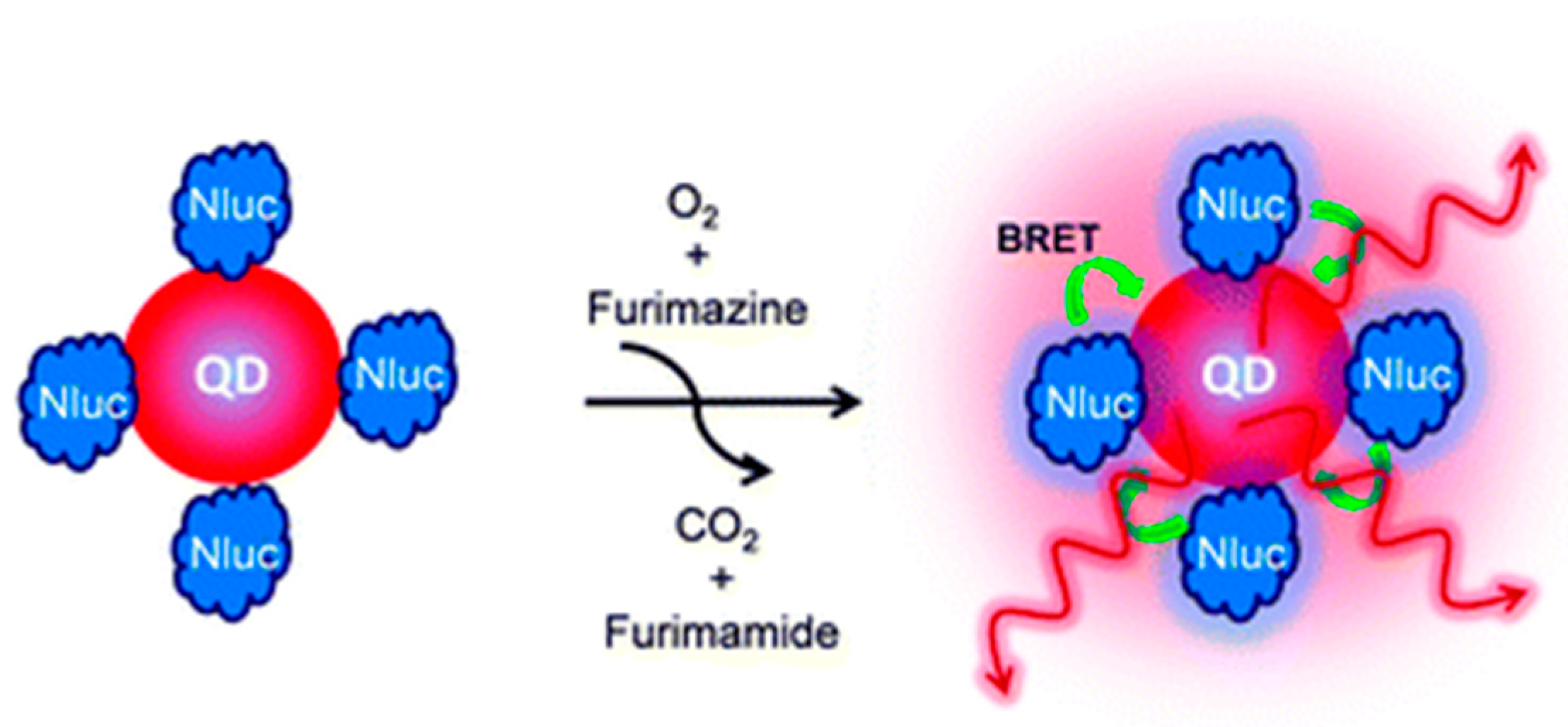 Biosensors 09 00042 g006