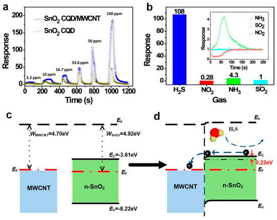 健康・医学 Chemical, Gas, and Biosensors for Intern Hydrogen Peroxide sensor H2O2-B1 - Alphasense - B2B