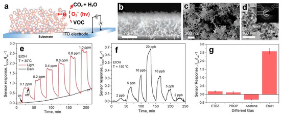 健康・医学 Chemical, Gas, and Biosensors for Intern Radius BZ1 SafeCore CO Carbon Monoxide Sensor, Measuring