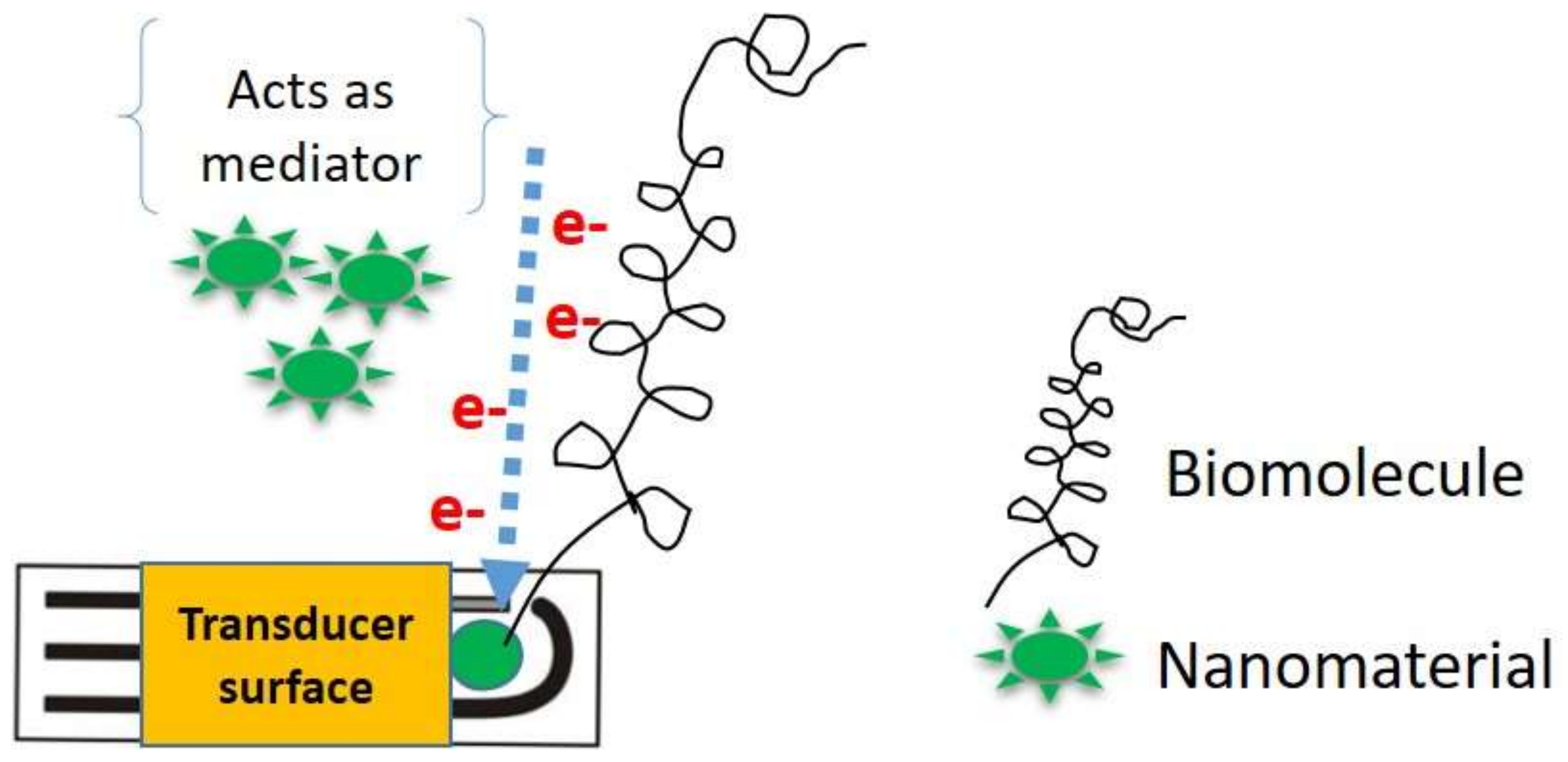 Biosensors Free FullText A Review of the Construction of Nano