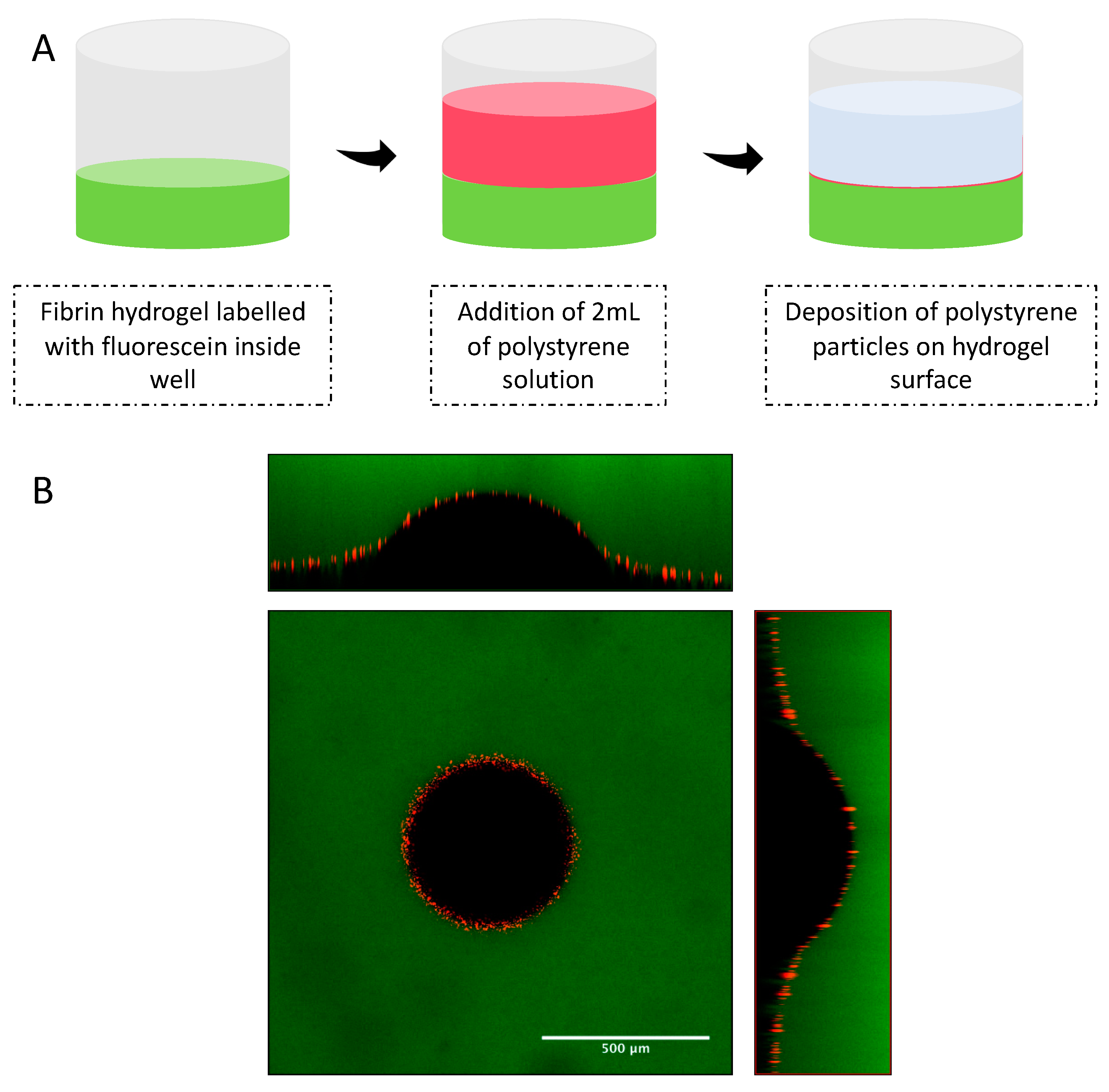 Biosensors 09 00051 g001