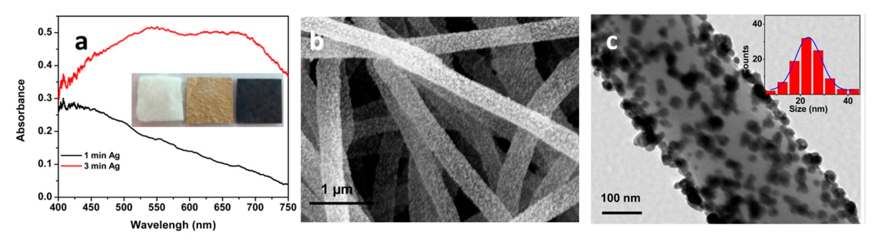 Biosensors 09 00057 g027