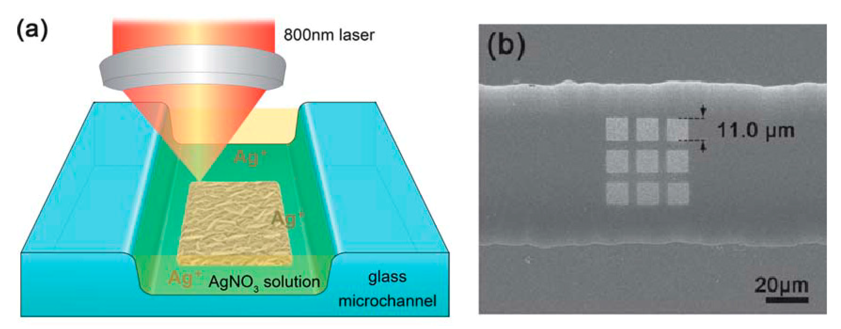 Biosensors 09 00057 g028
