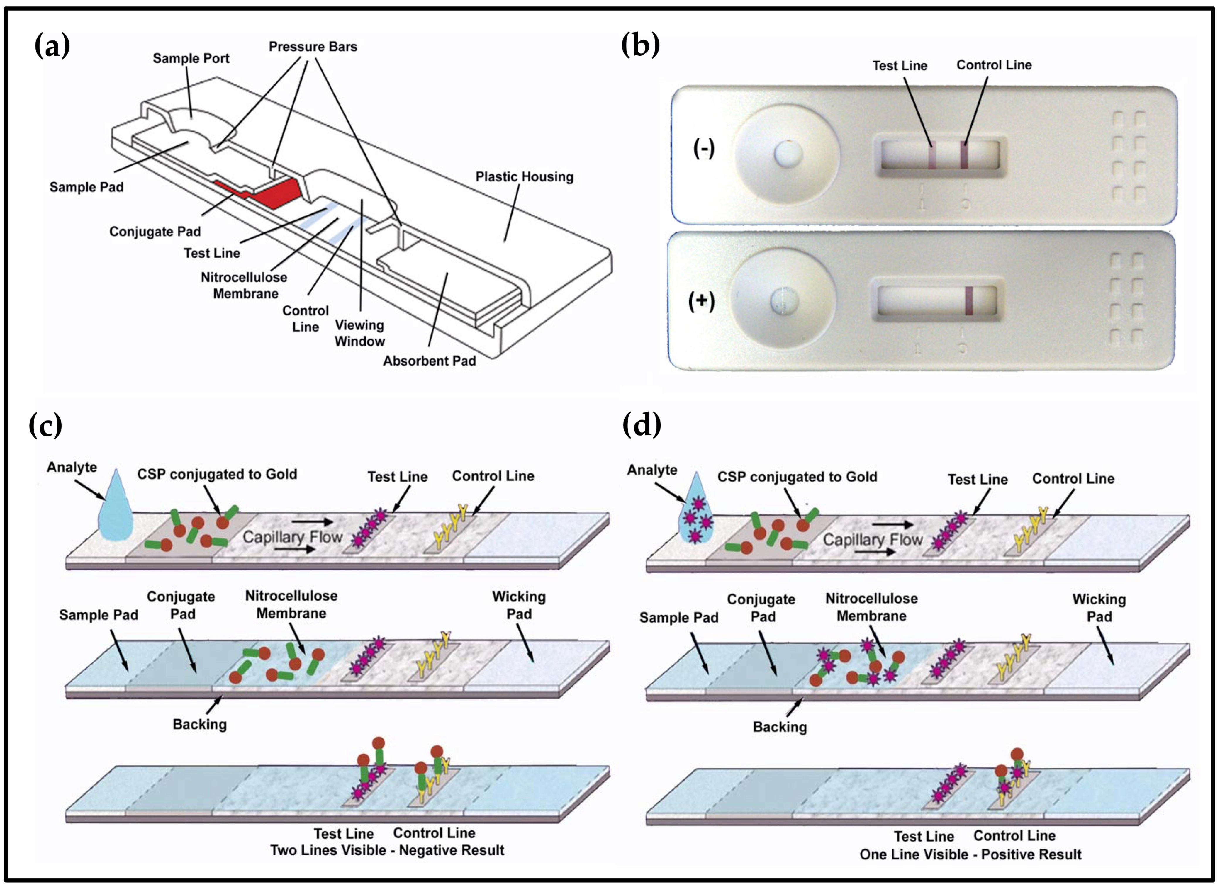 Biosensors 09 00062 g004 Biosensors 09 00062 g004