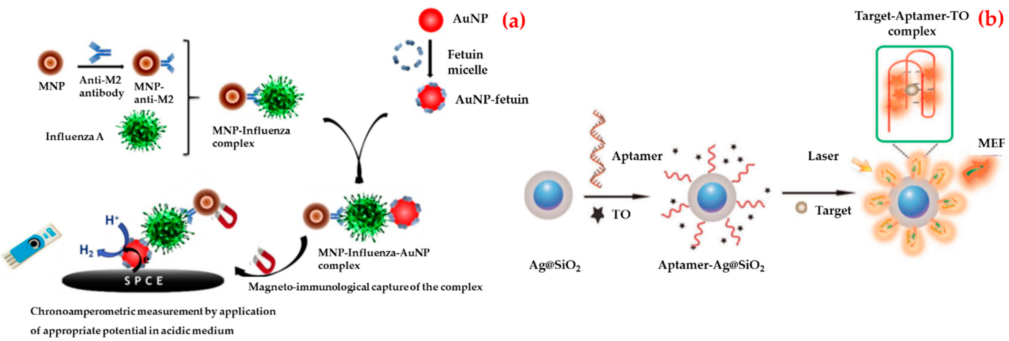 Biosensors 09 00065 g006