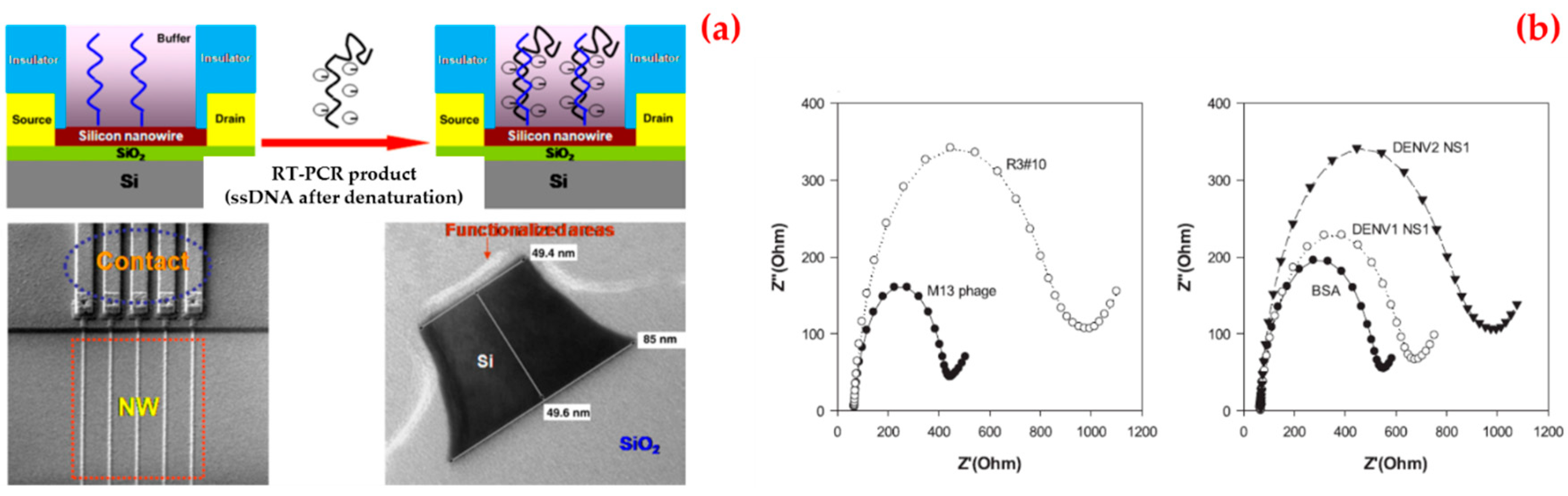 Biosensors 09 00065 g007