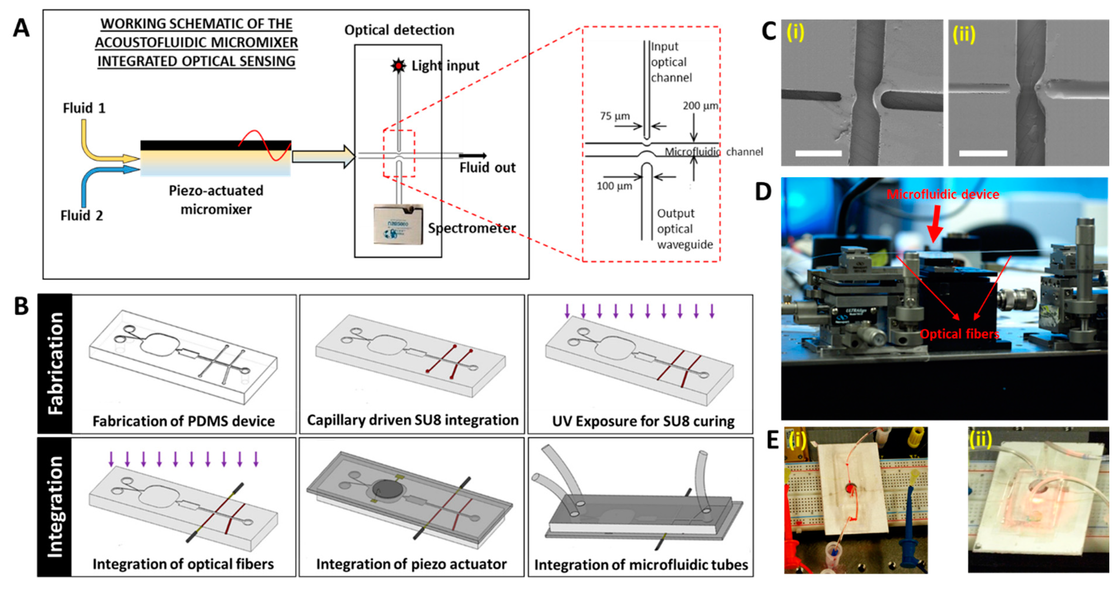 Biosensors 09 00073 g002