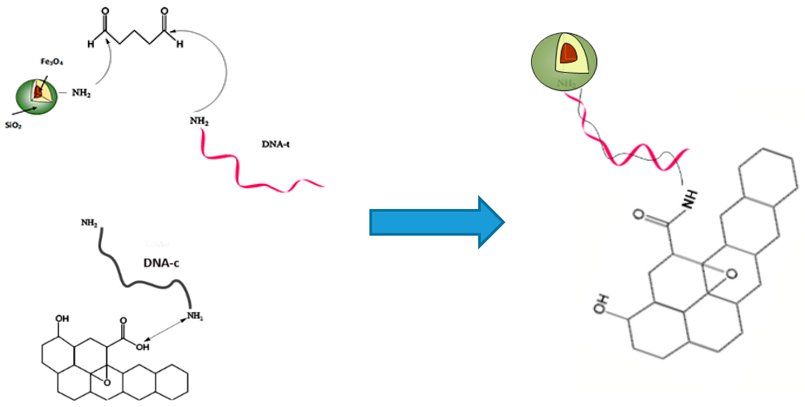Biosensors 09 00074 g001
