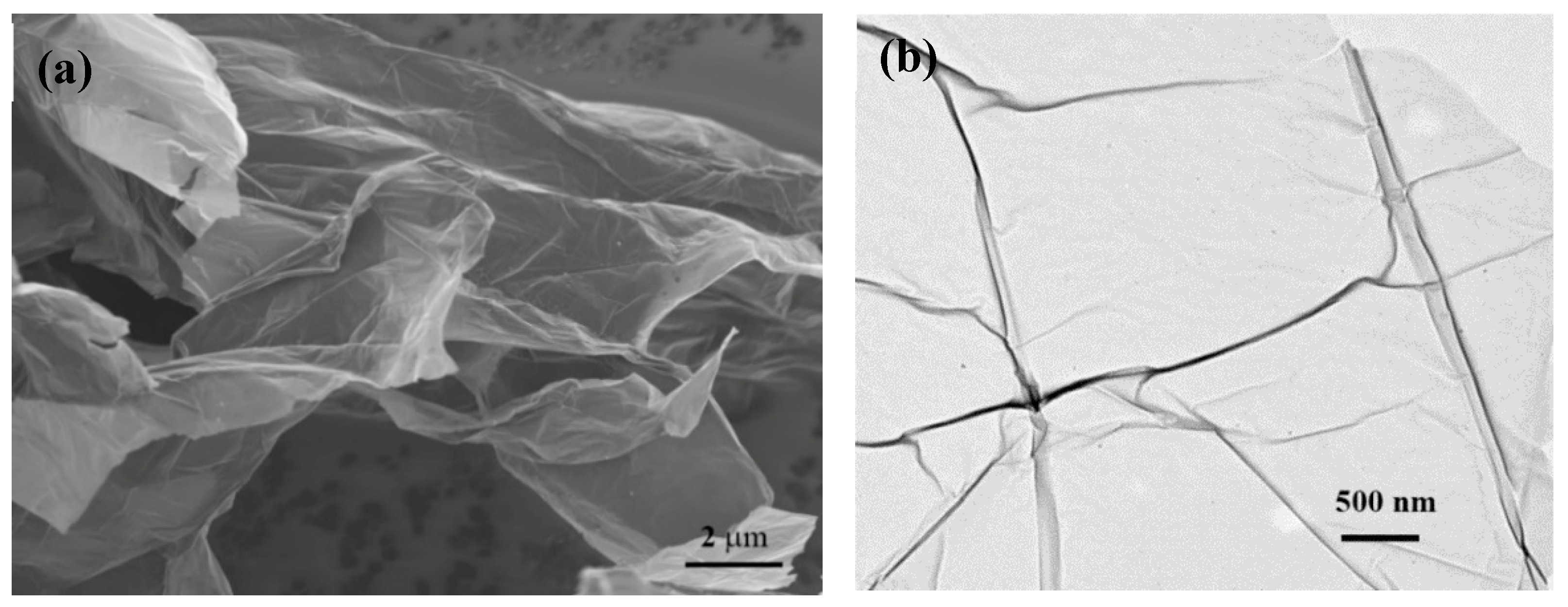 Biosensors 09 00074 g004