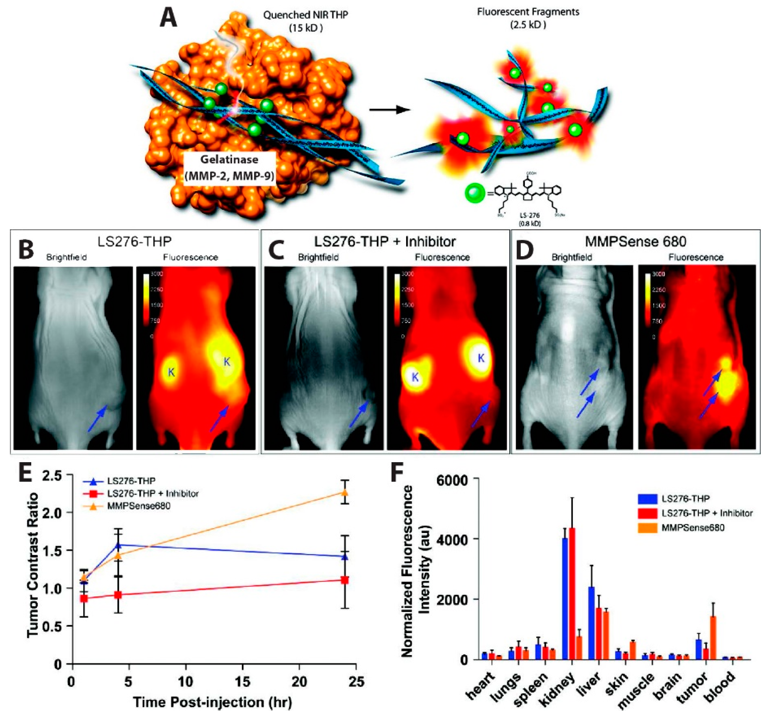 Biosensors 09 00076 g005 Biosensors 09 00076 g005