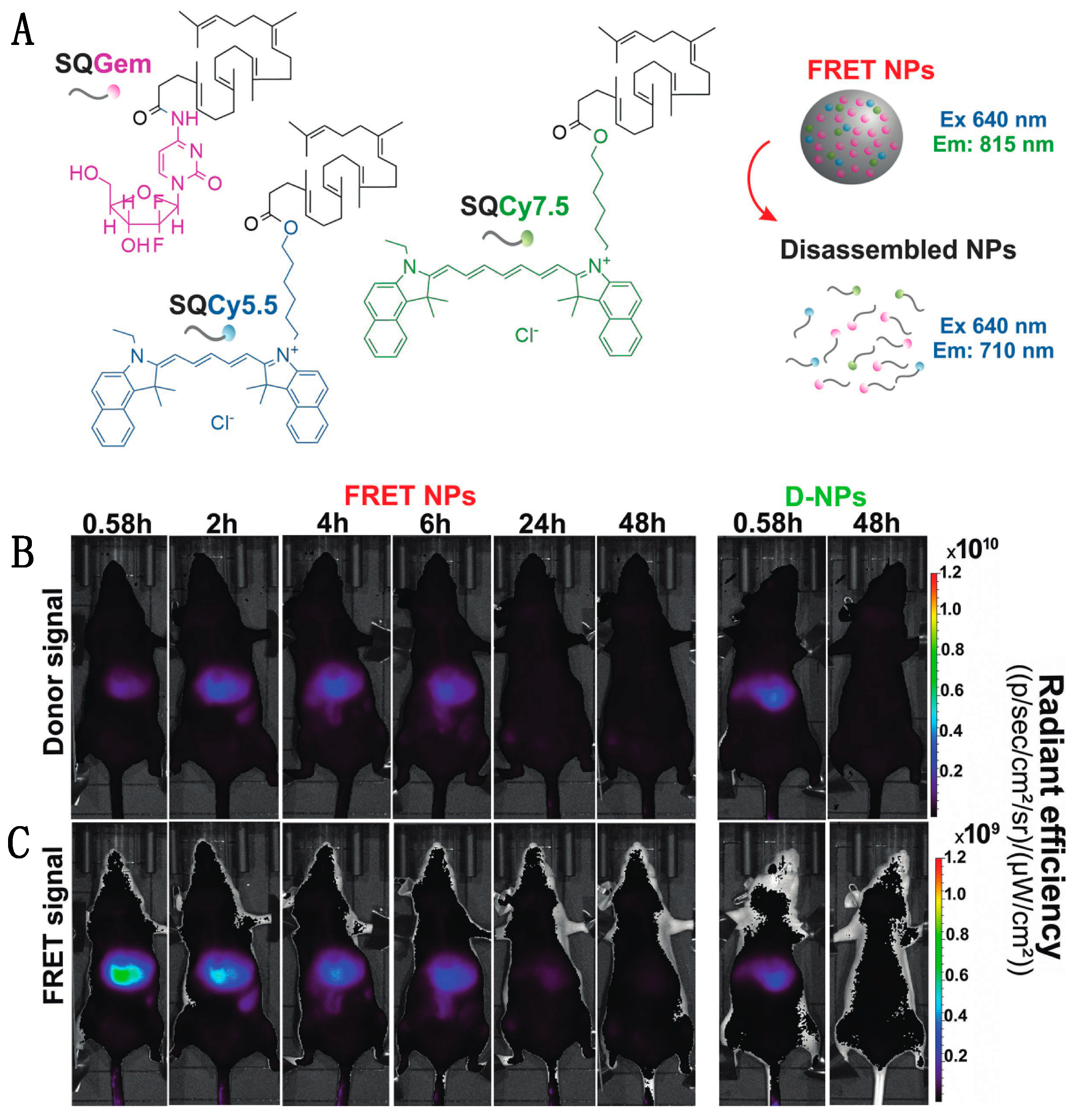 Biosensors 09 00076 g007 Biosensors 09 00076 g007