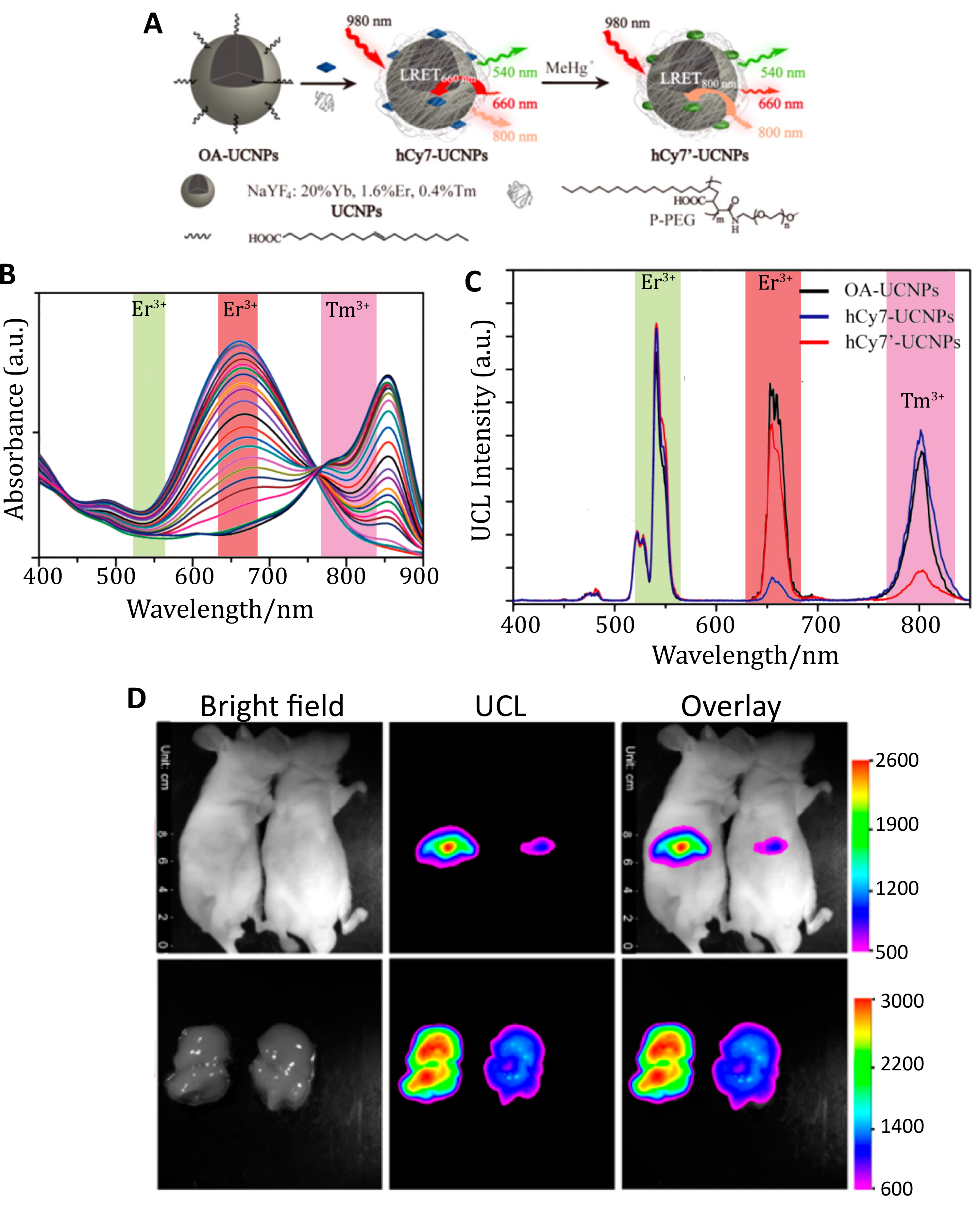 Biosensors 09 00076 g009 Biosensors 09 00076 g009