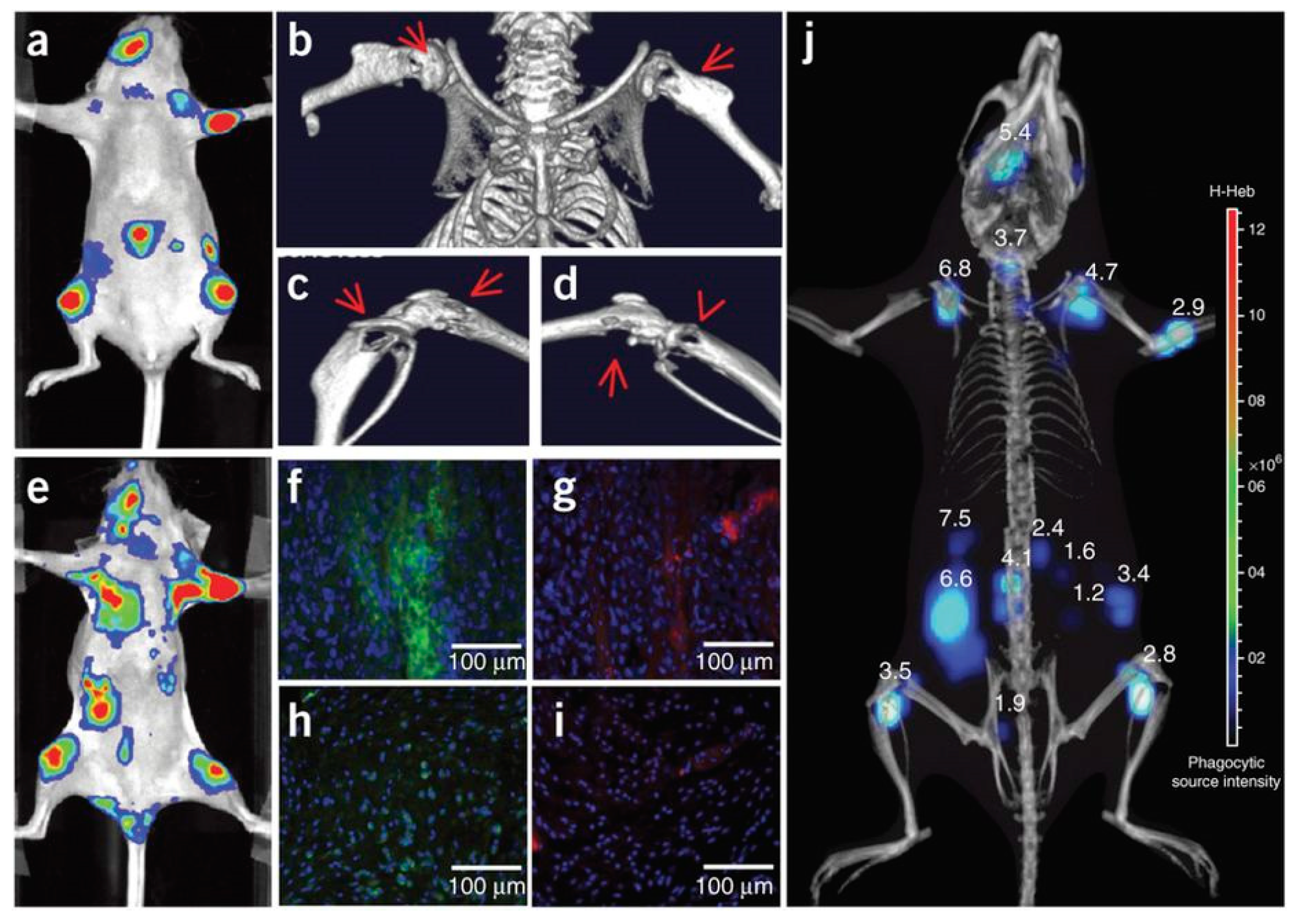 Biosensors 09 00076 g014 Biosensors 09 00076 g014
