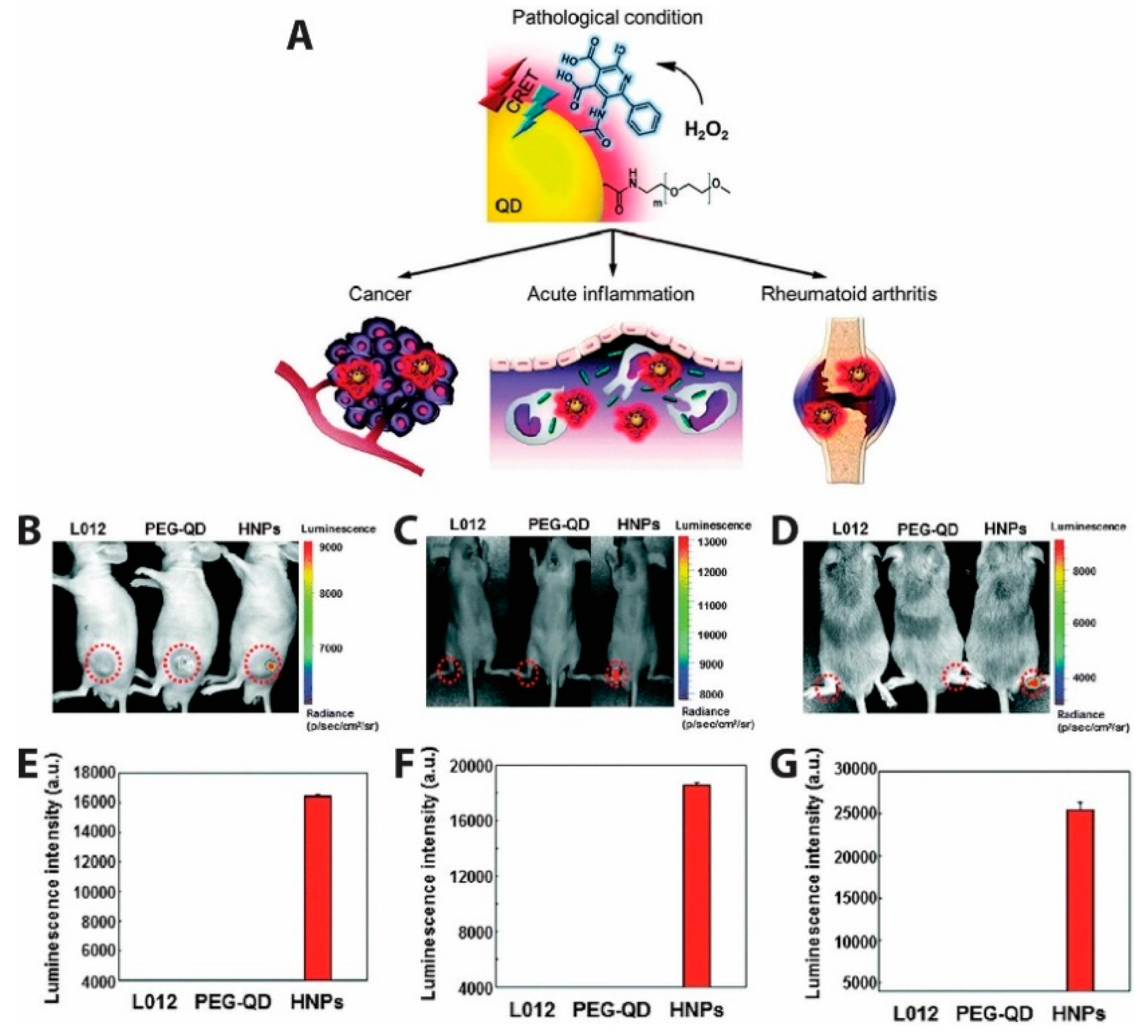 Biosensors 09 00076 g015 Biosensors 09 00076 g015