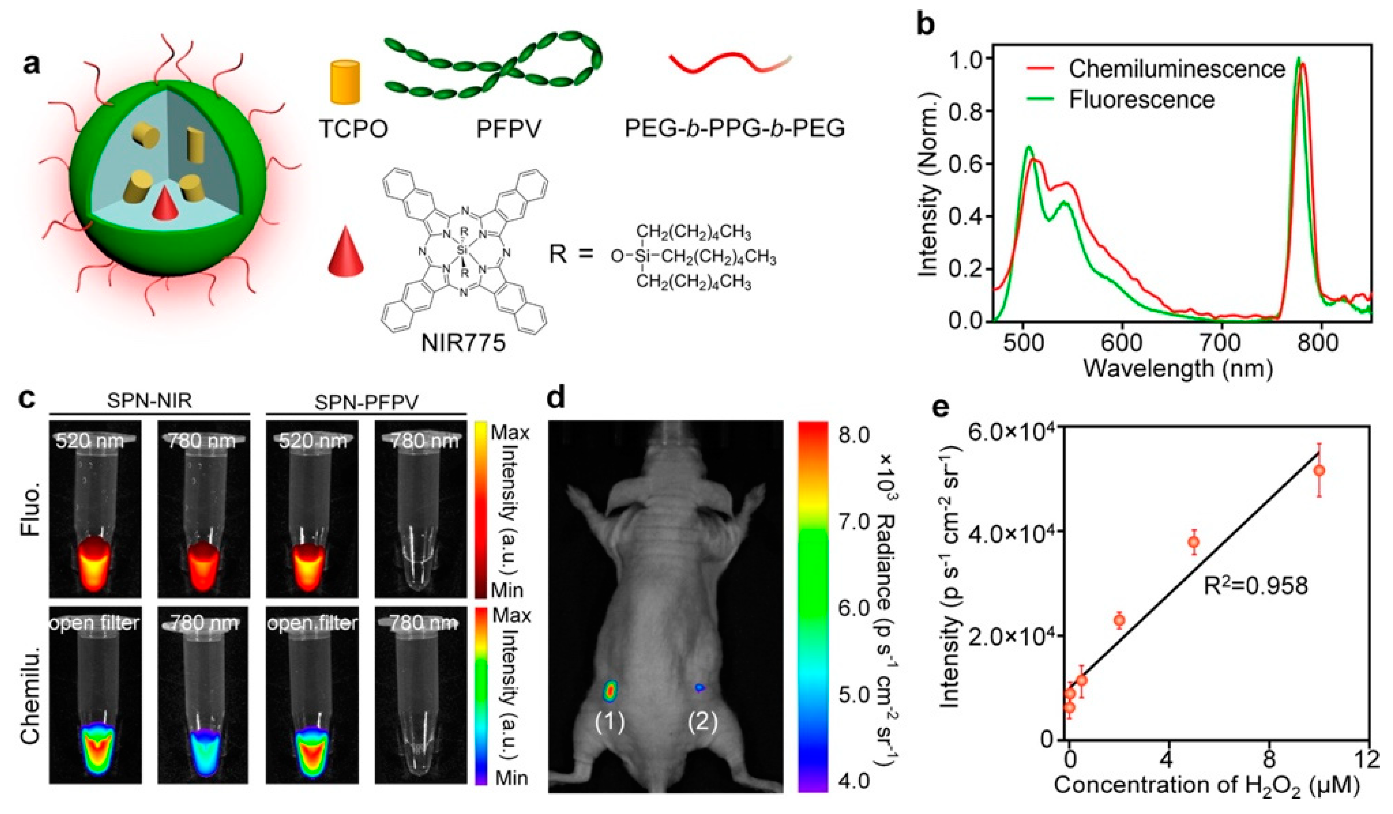 Biosensors 09 00076 g016 Biosensors 09 00076 g016