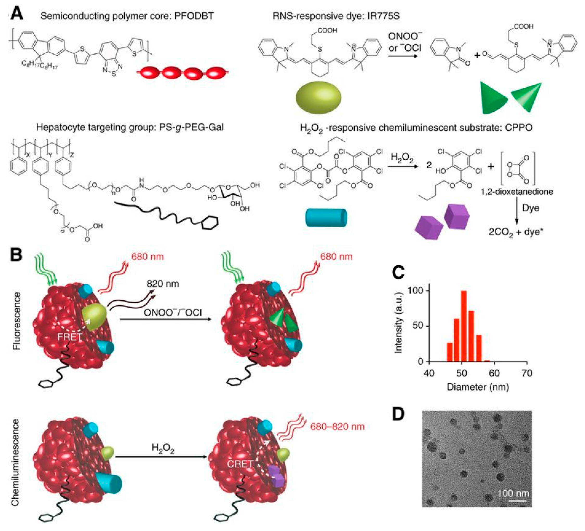 Biosensors 09 00076 g017 Biosensors 09 00076 g017