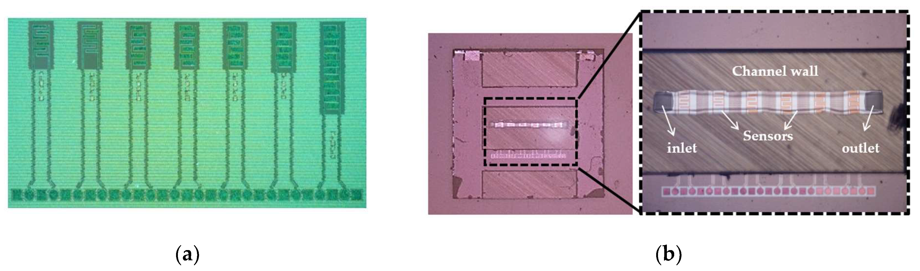 Biosensors 09 00077 g005