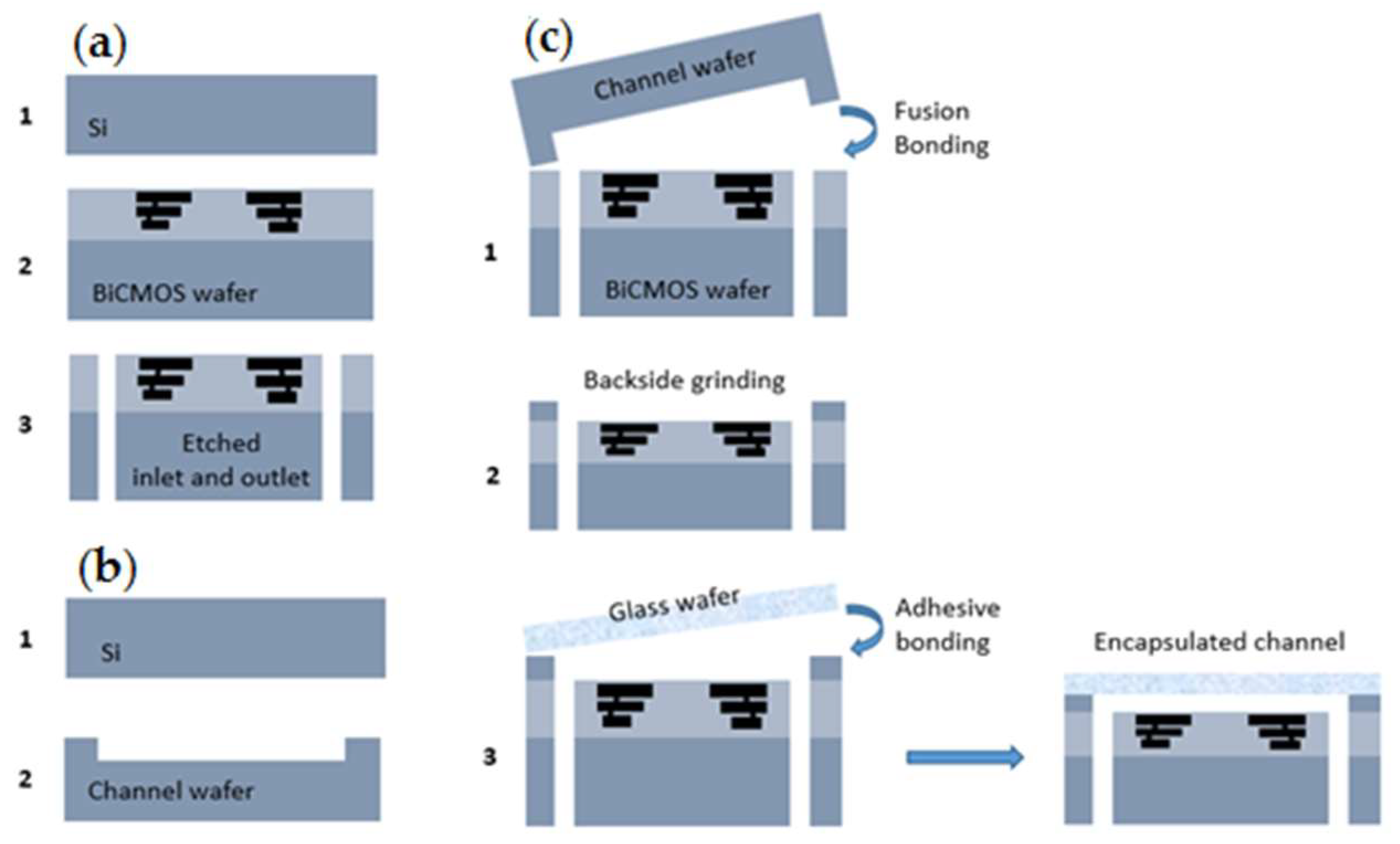 Biosensors 09 00077 g006