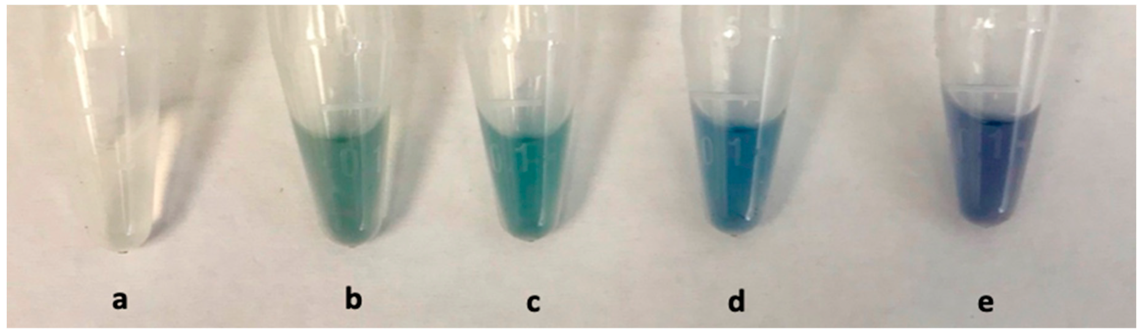 Biosensors 09 00083 g003 Biosensors 09 00083 g003