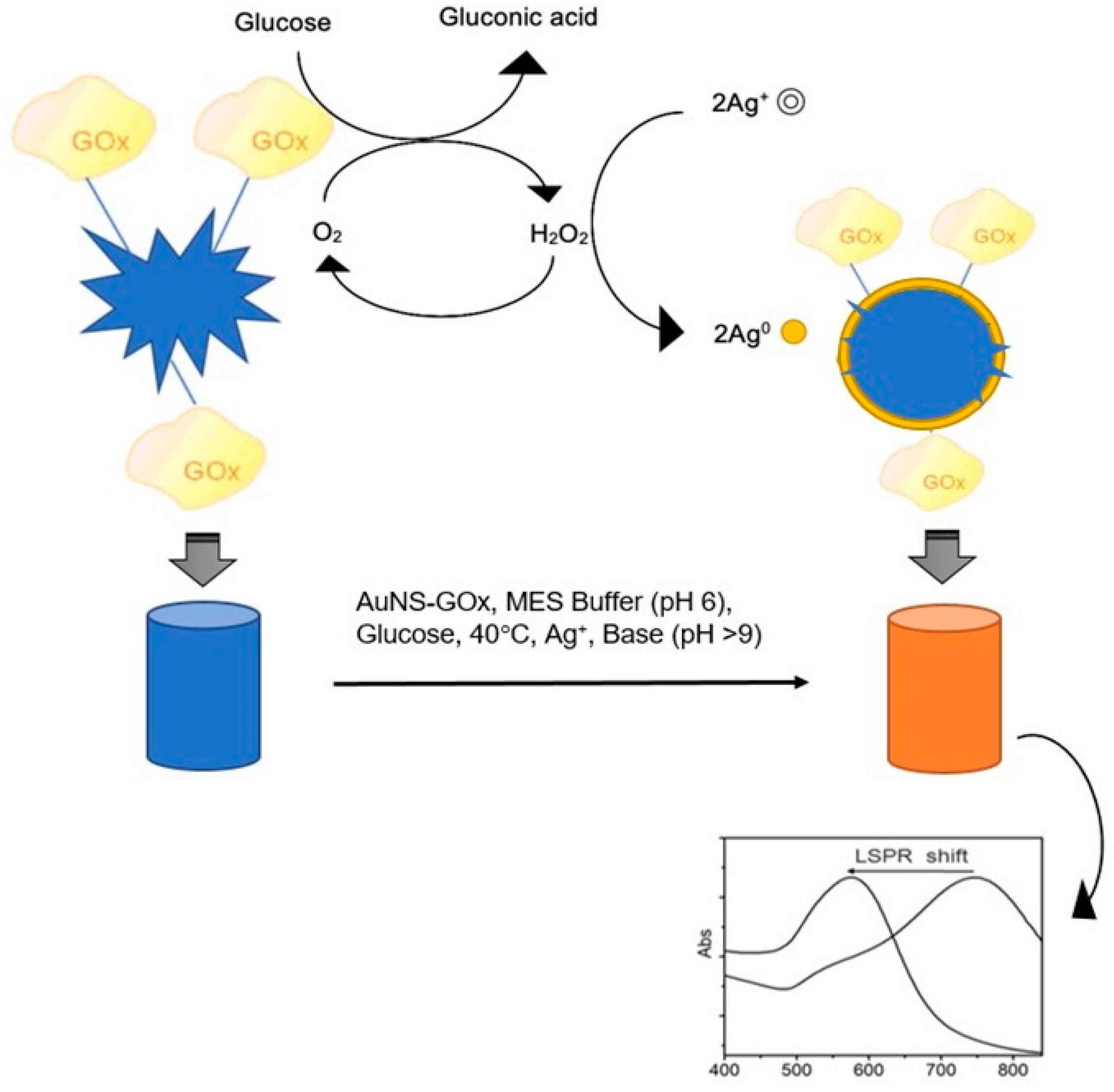 Biosensors 09 00083 sch001 Biosensors 09 00083 sch001