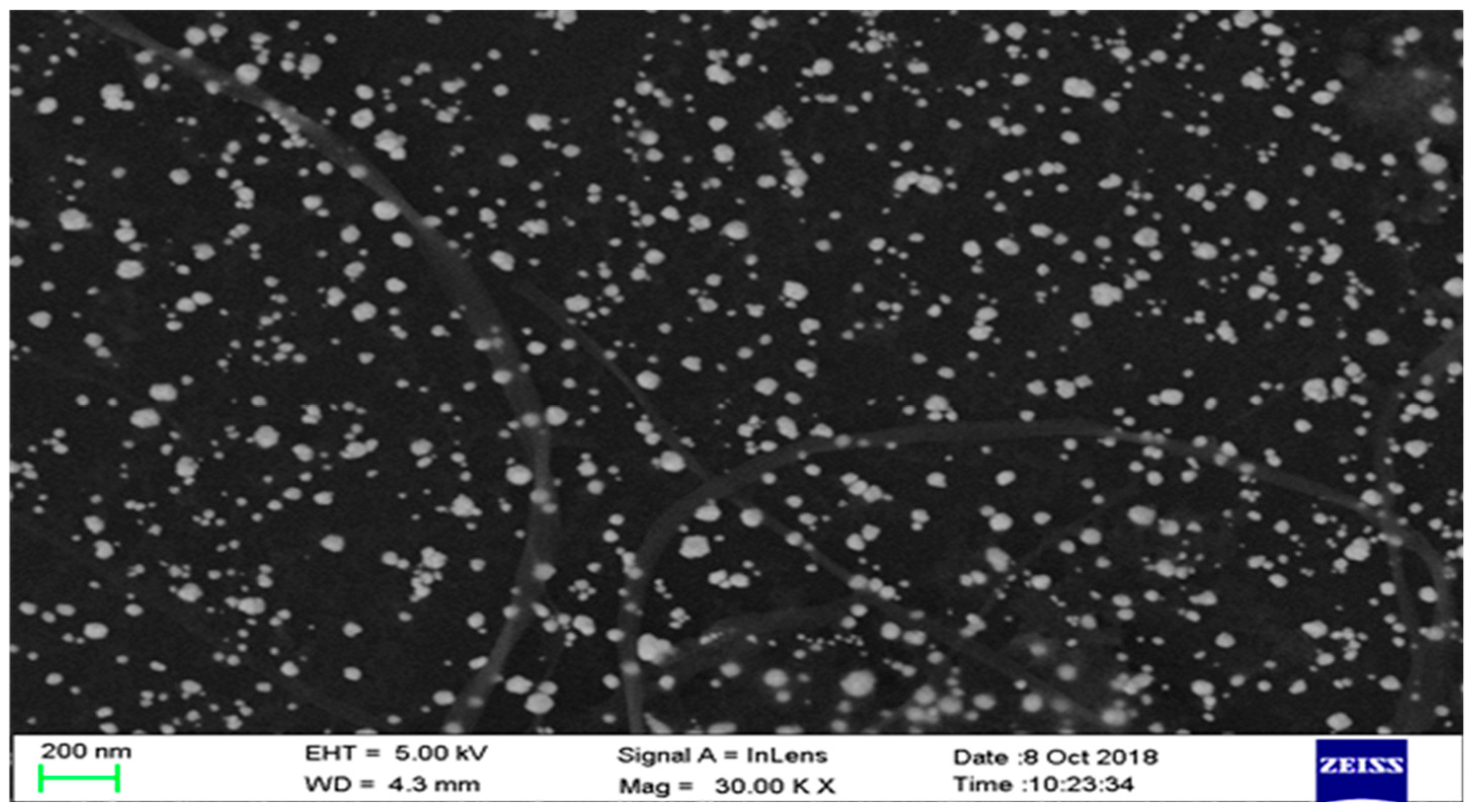 Biosensors 09 00084 g002 Biosensors 09 00084 g002