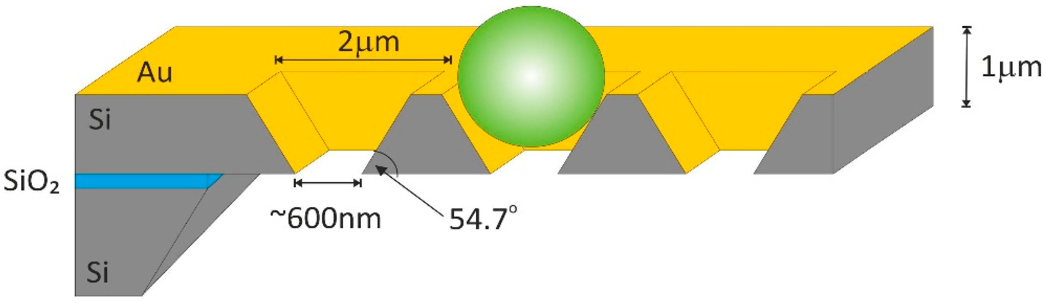 Biosensors 09 00093 g001