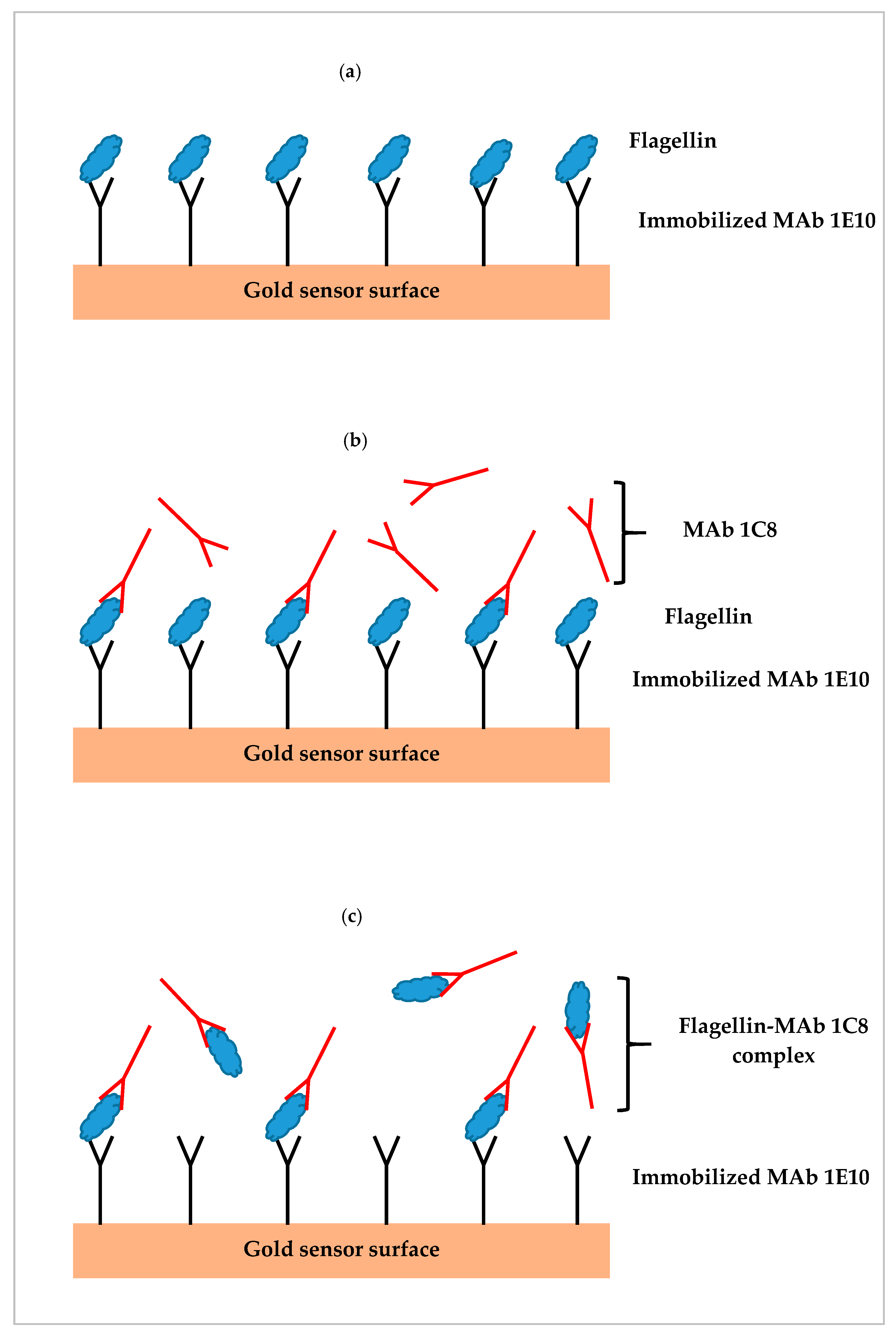 Biosensors 09 00094 g001