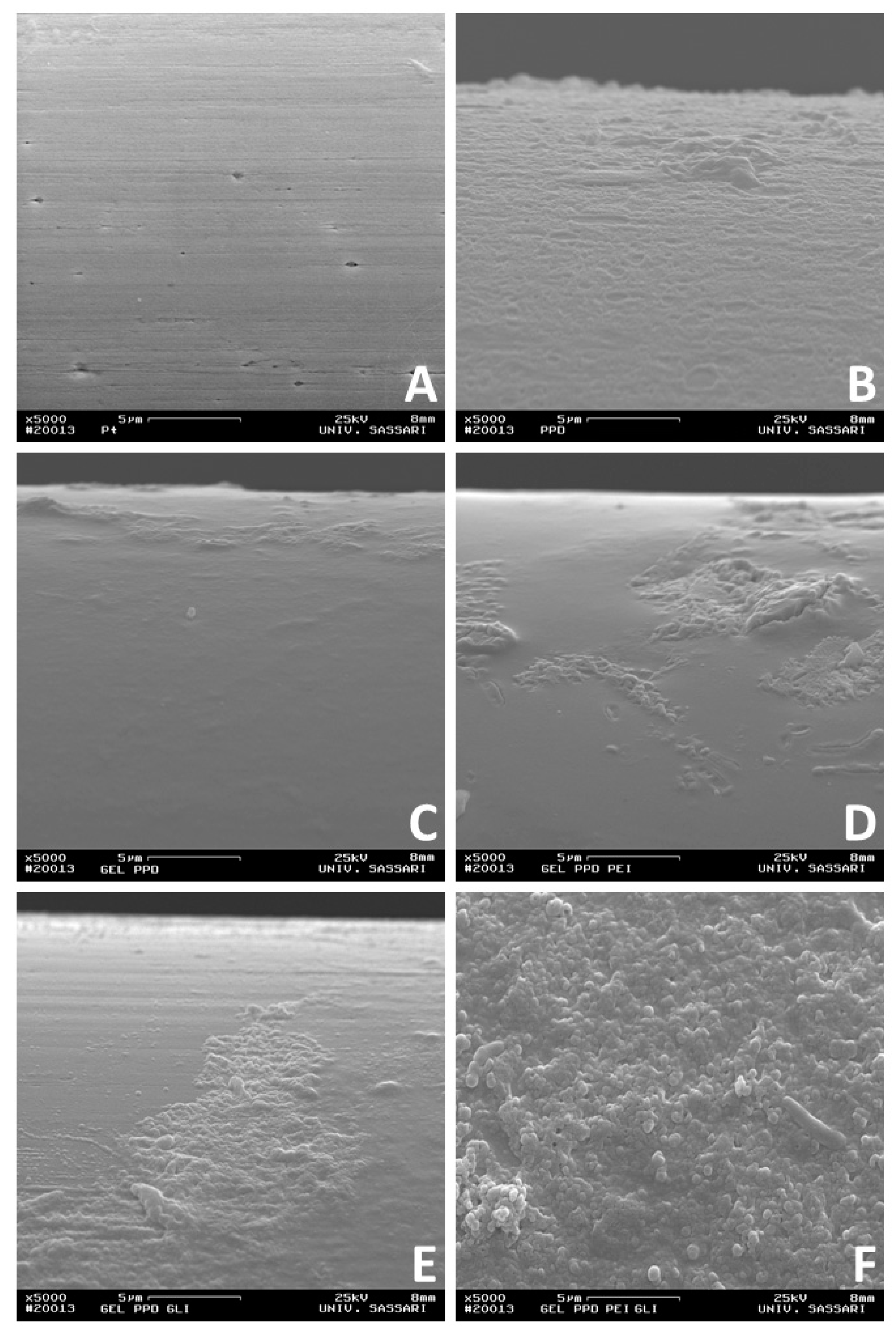 Biosensors 09 00095 g004