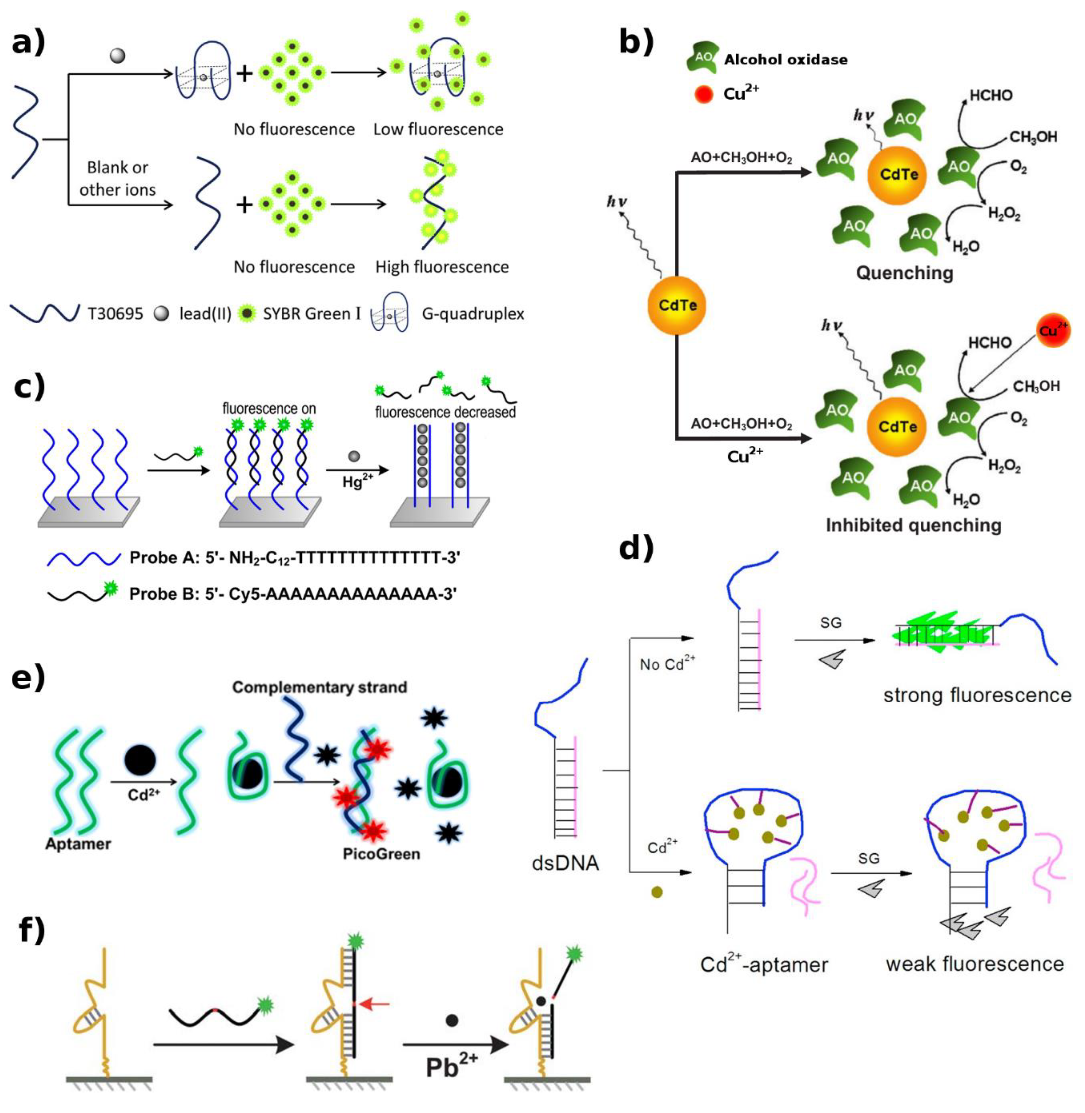Biosensors 09 00096 g004 Biosensors 09 00096 g004