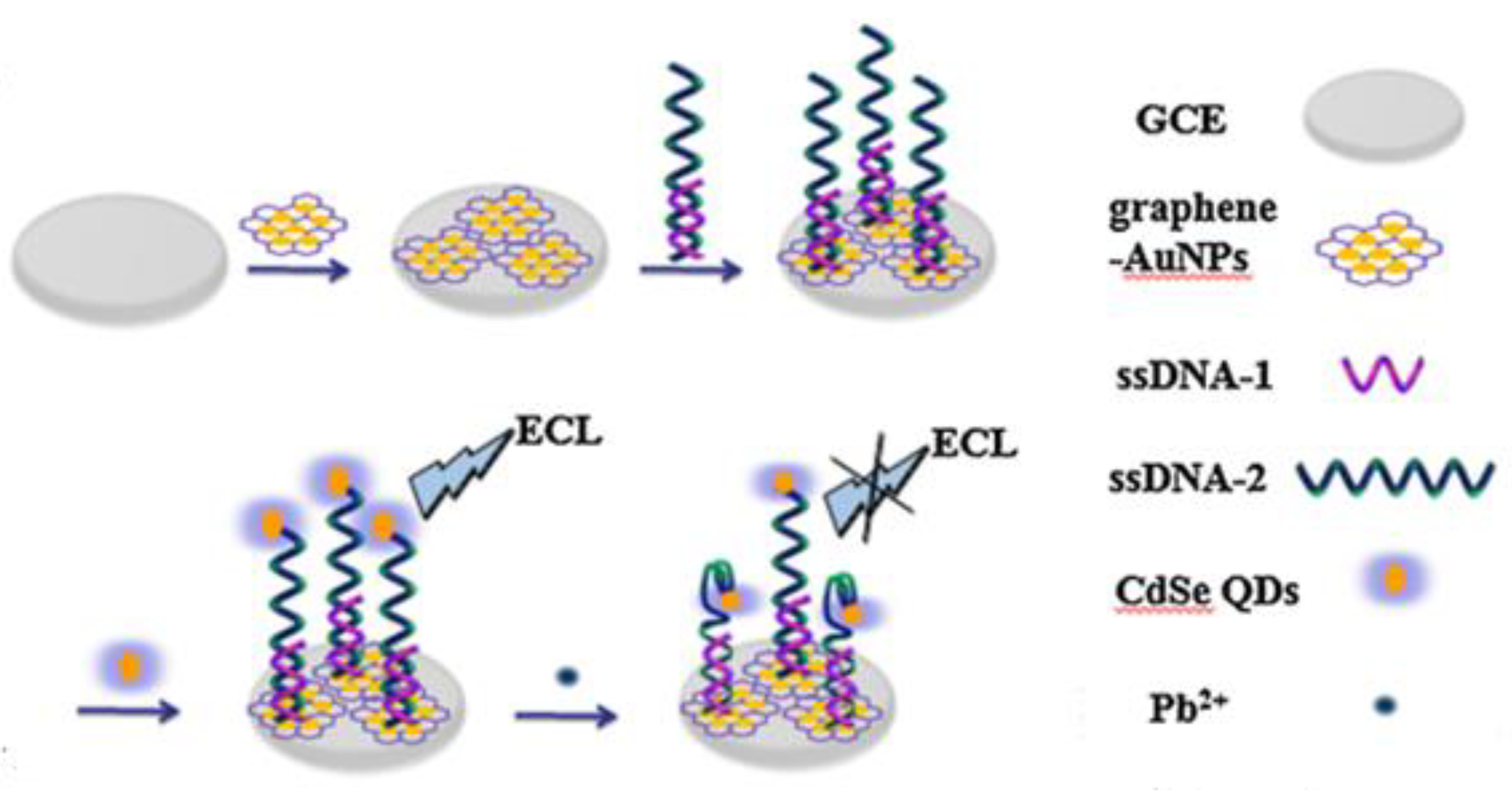Biosensors 09 00096 g005 Biosensors 09 00096 g005