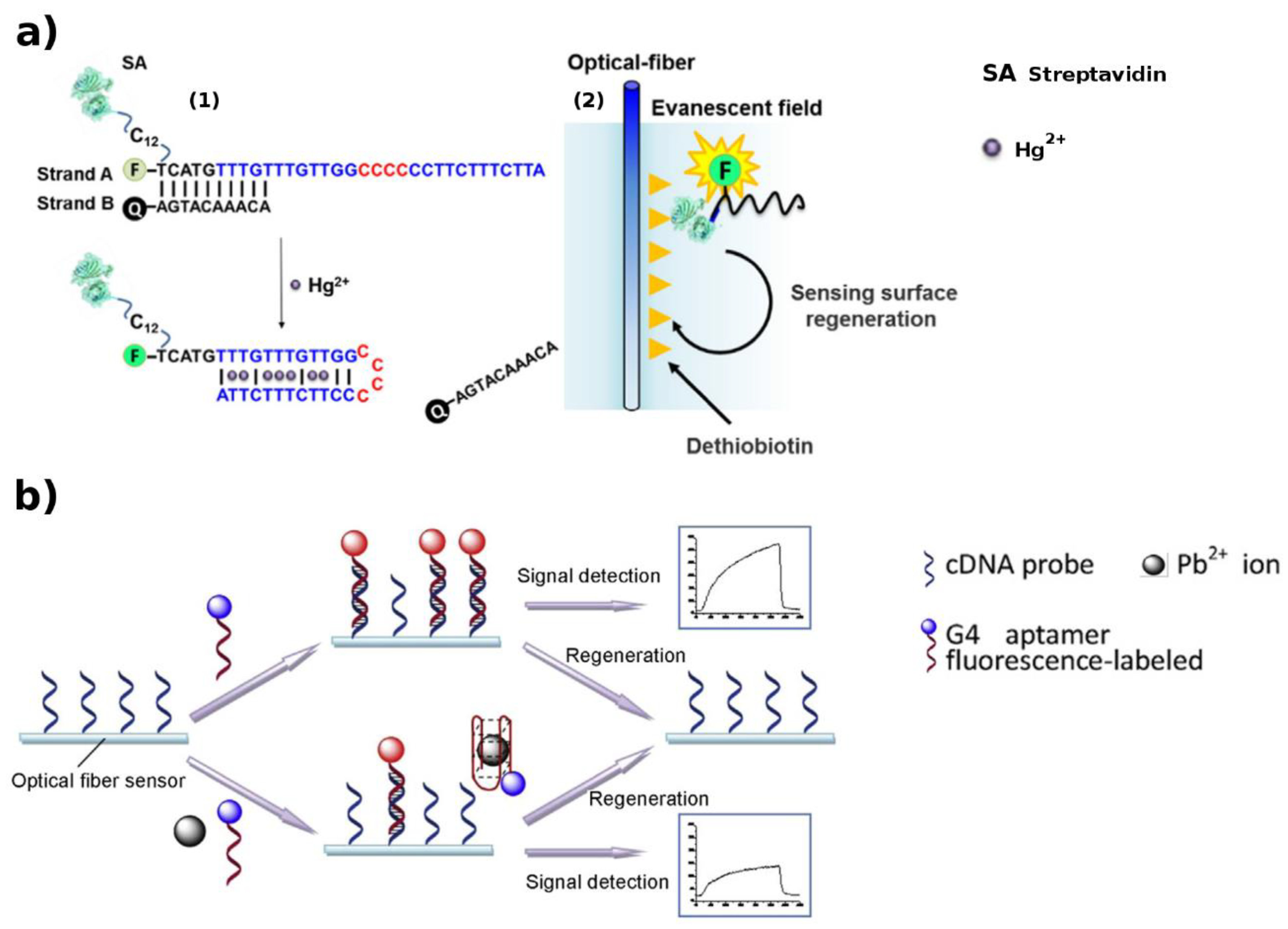 Biosensors 09 00096 g007 Biosensors 09 00096 g007